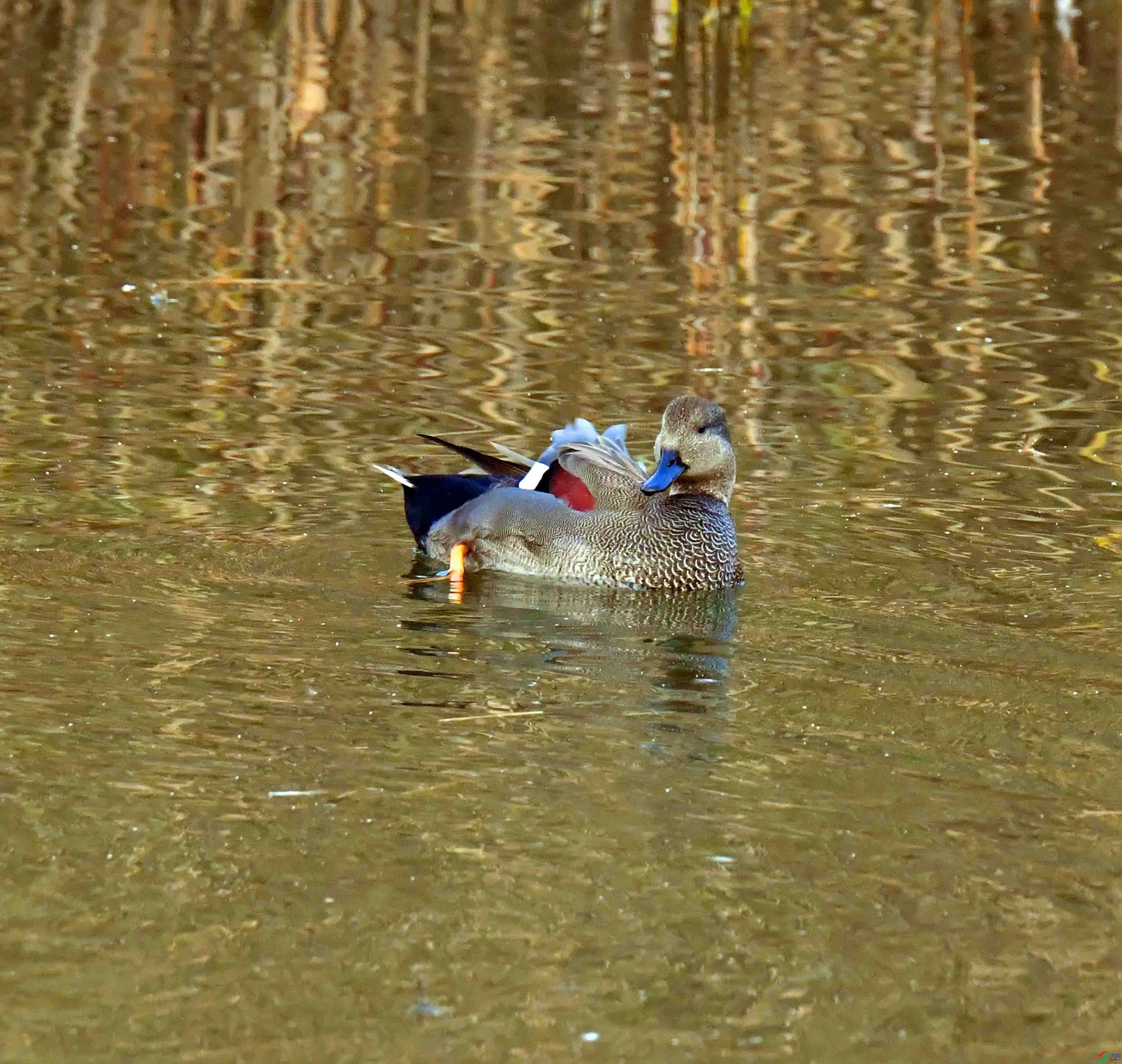 DSC_3767.JPG