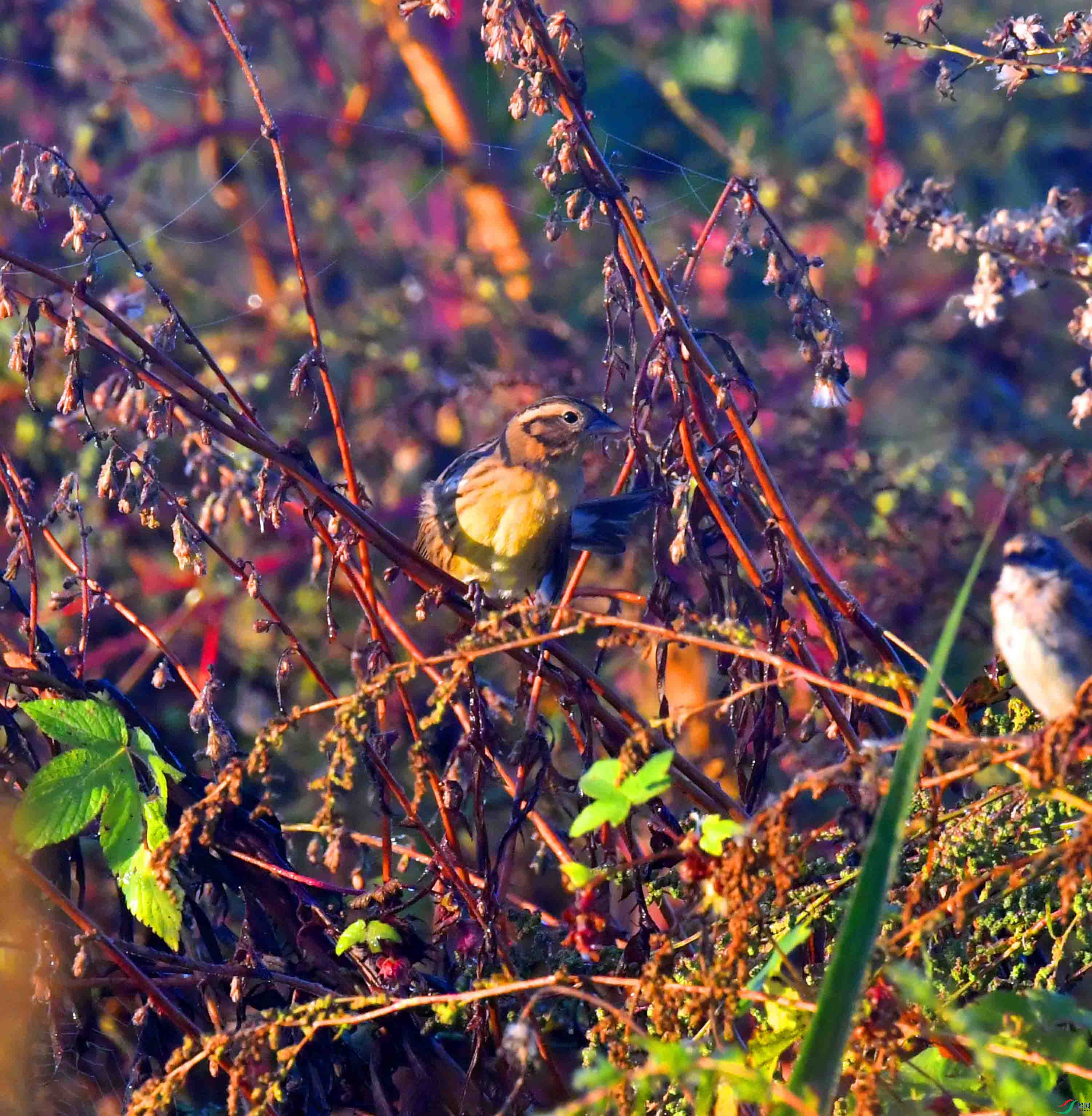 DSC_8855.JPG