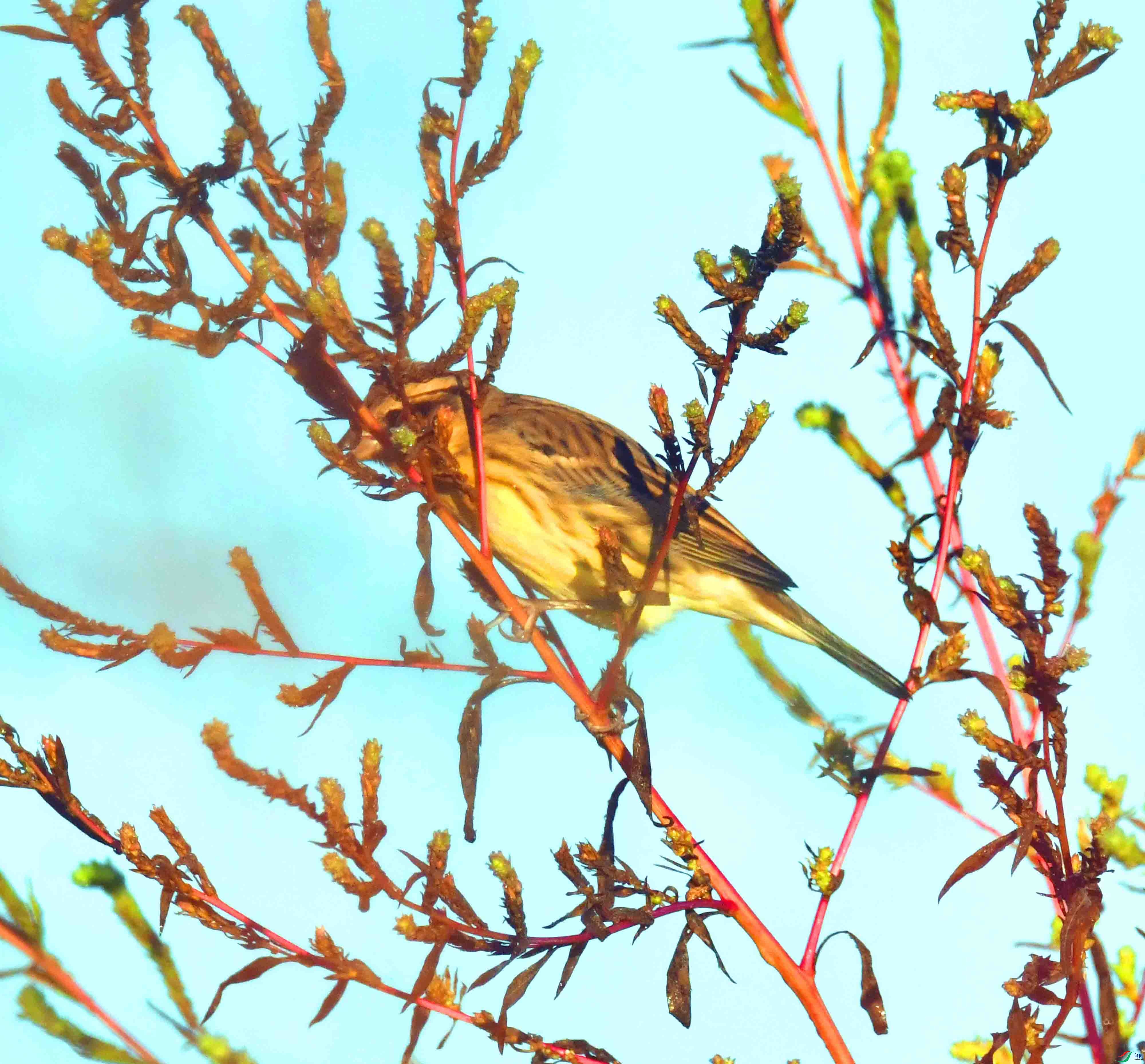 DSC_8939.JPG