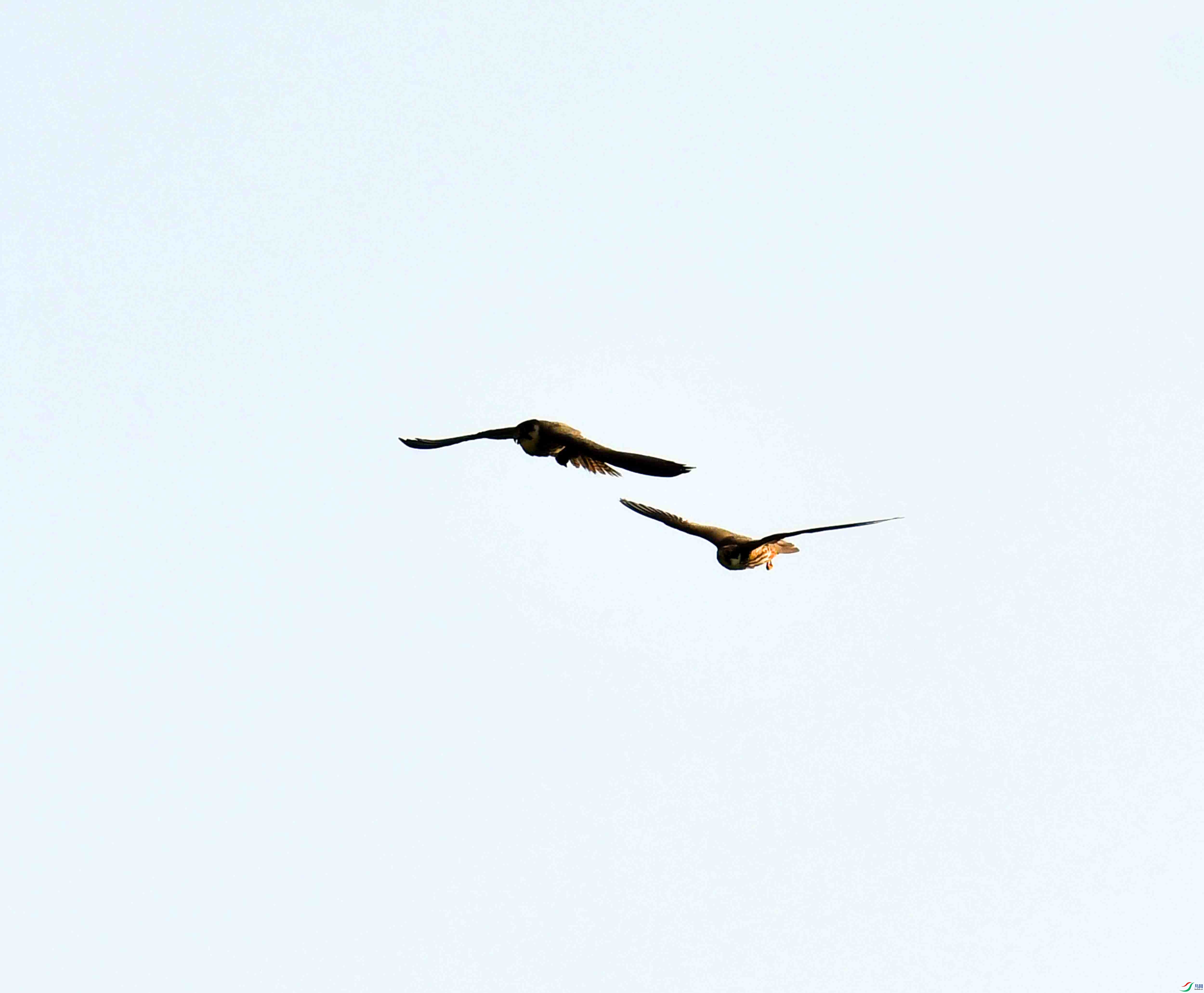 DSC_0272.JPG