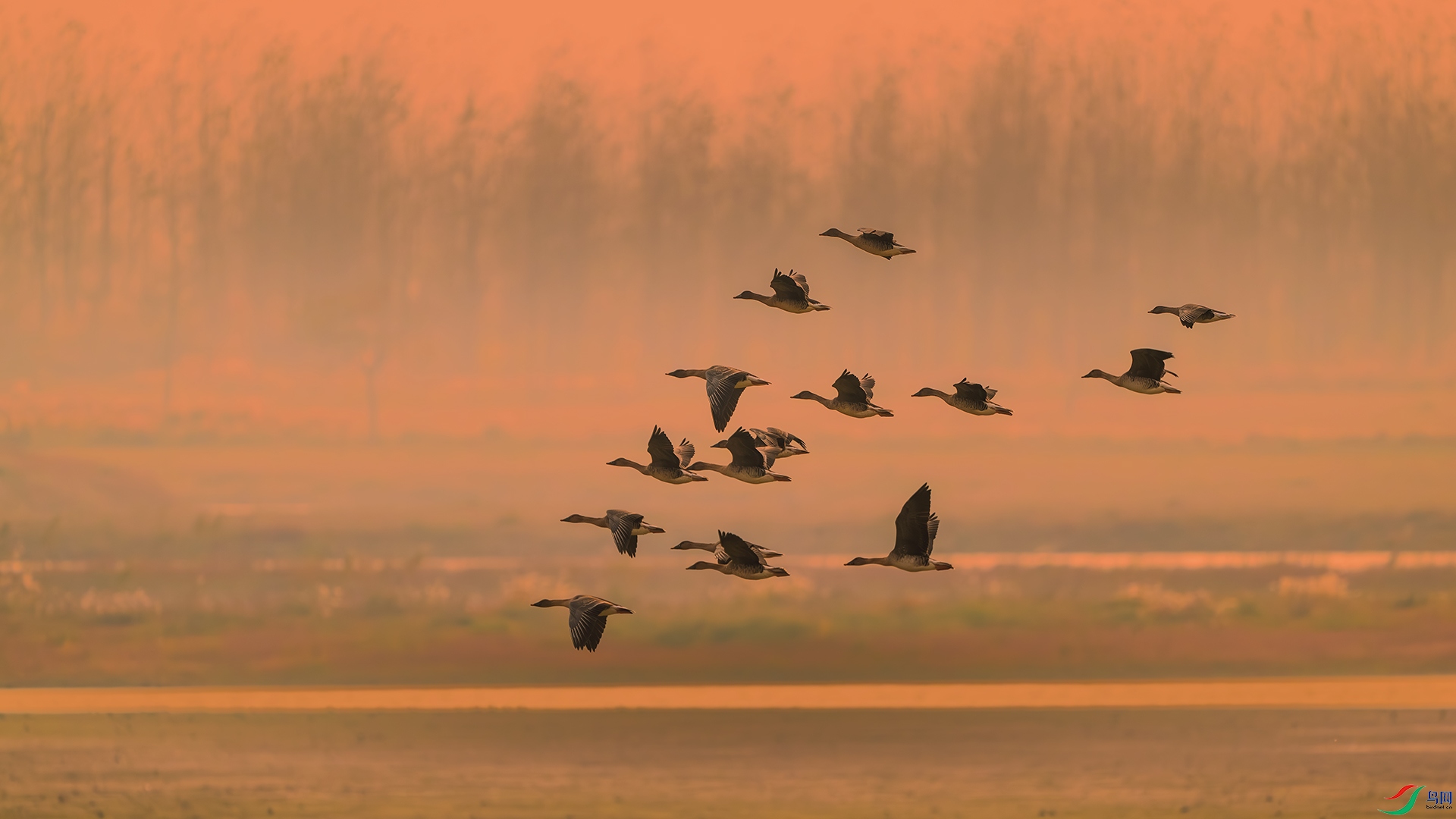 _DSC9251-����ǿ-NR ����С.jpg