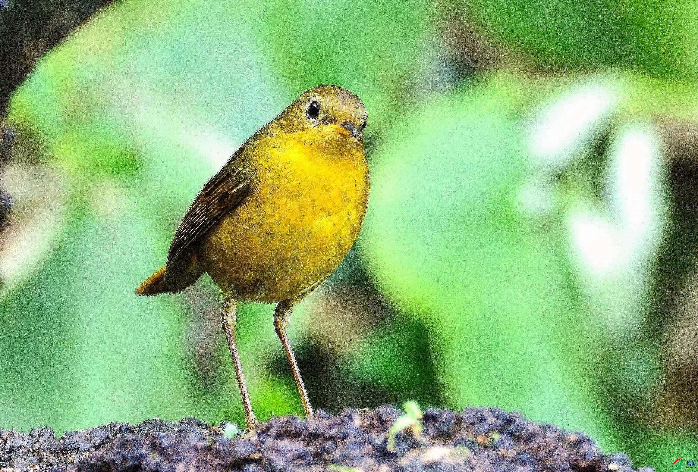 DSC_1026.JPG