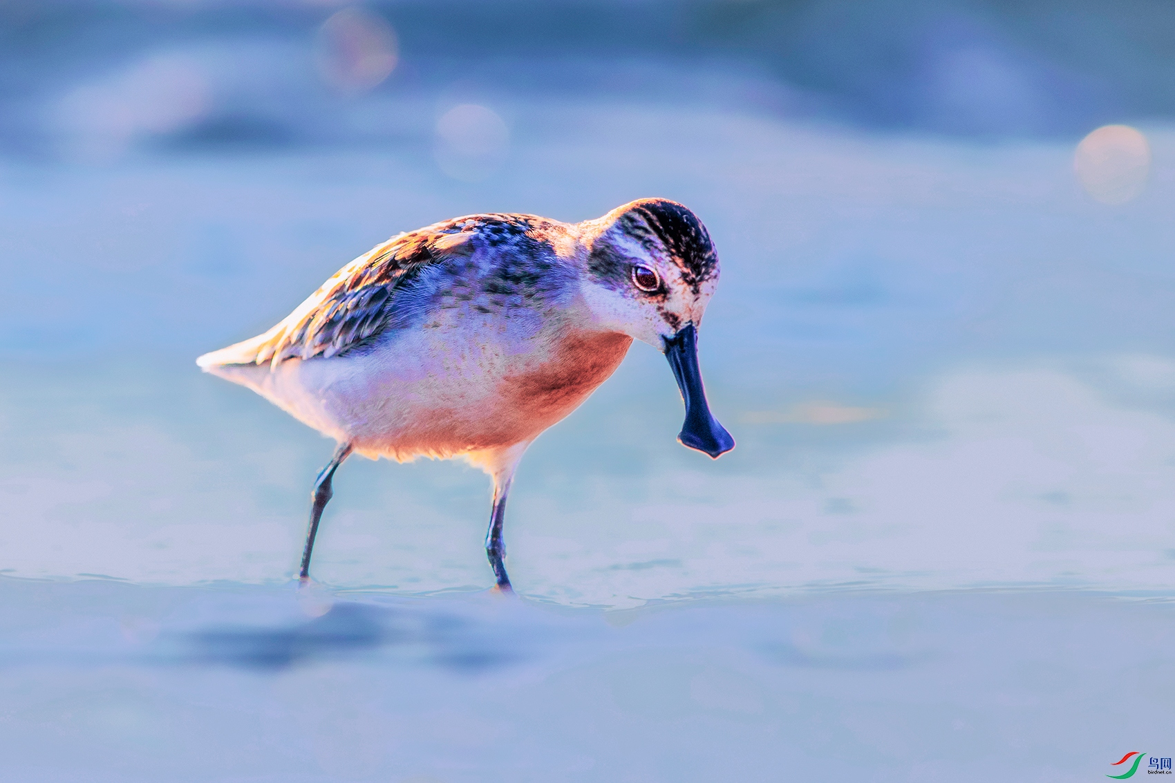 ������----����Ѱ��ǧ**