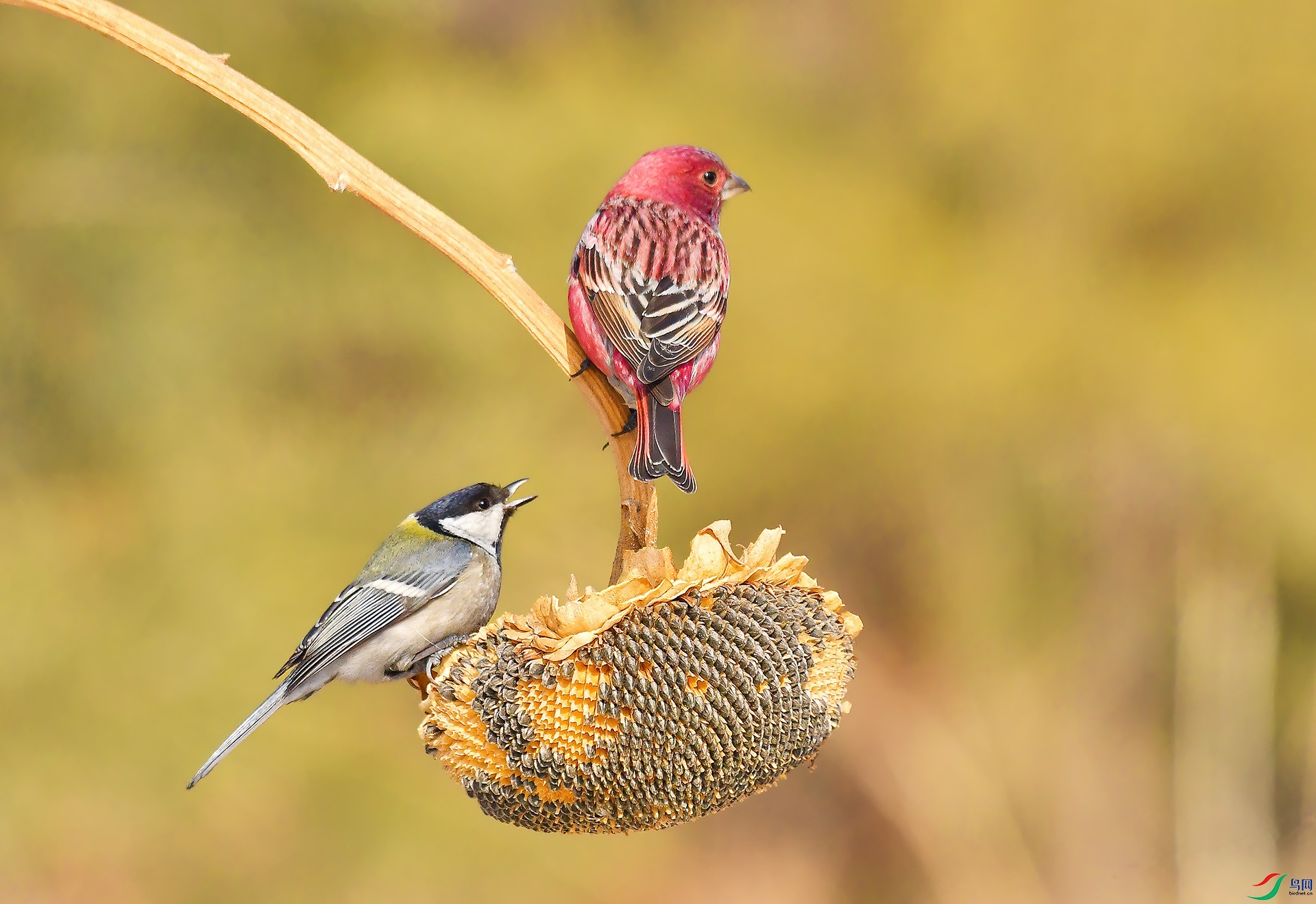 DSC_5802 -1.jpg