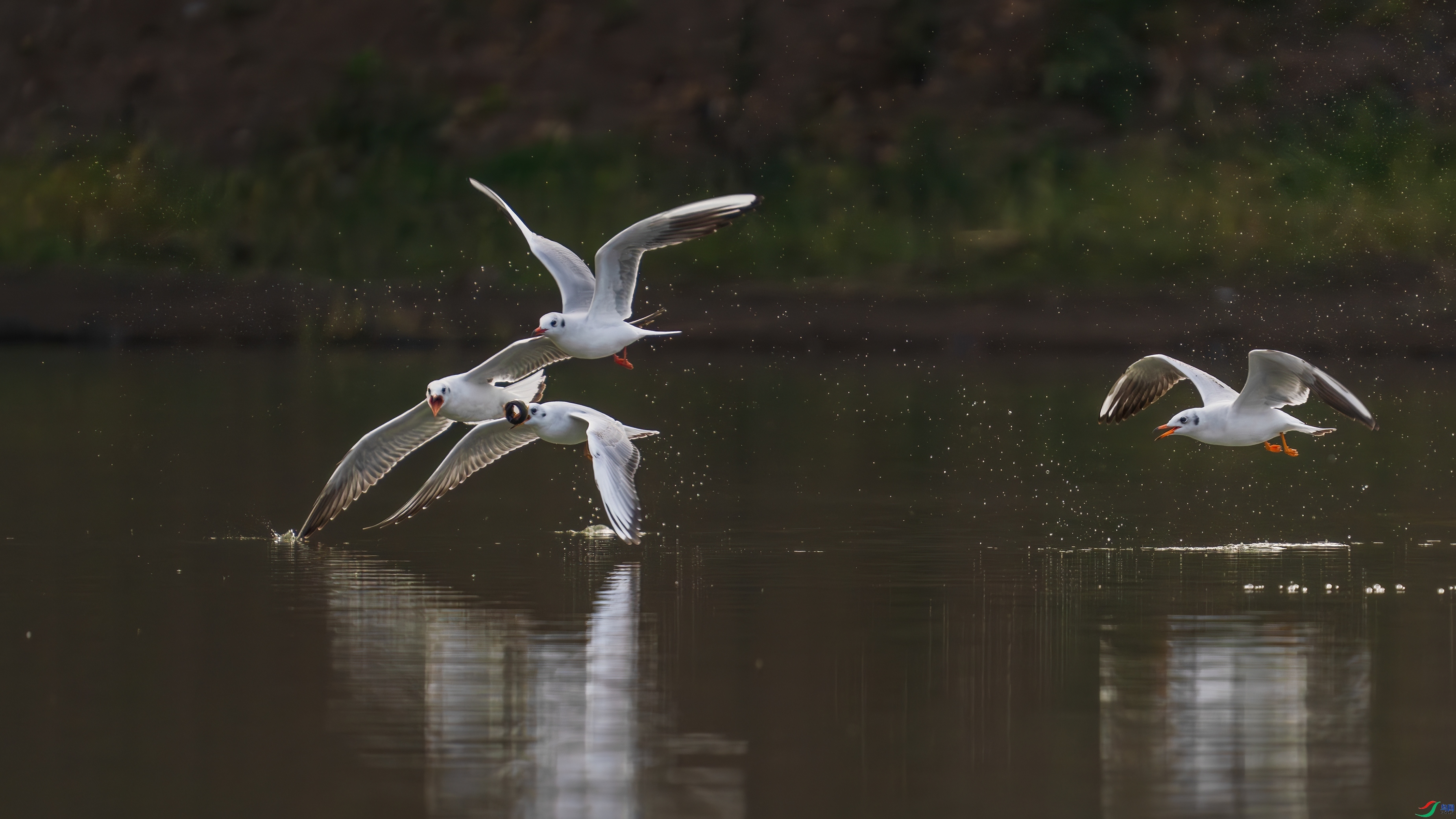 ׷ ���� С�׺� ��һ.jpg