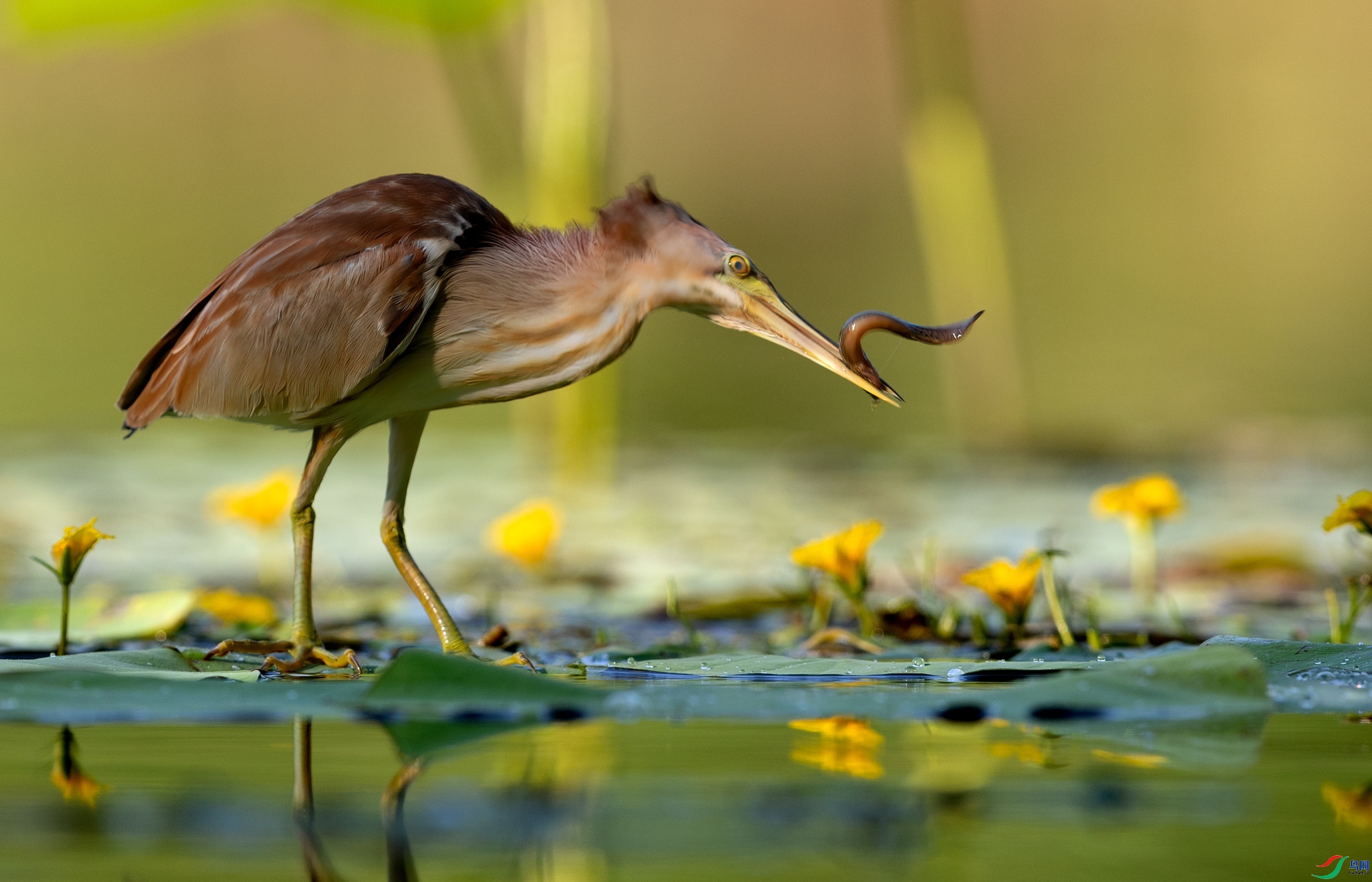 ���һ�� ���� һ·���� ��һ.jpg