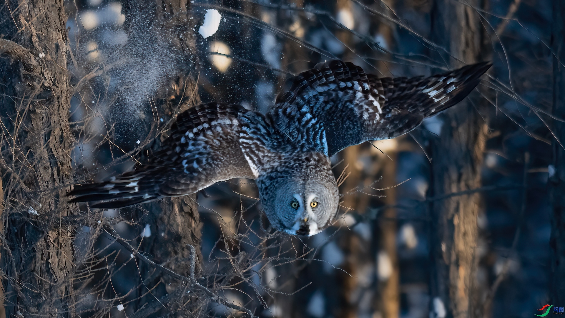 ����  ���� ���� ��һ.jpg