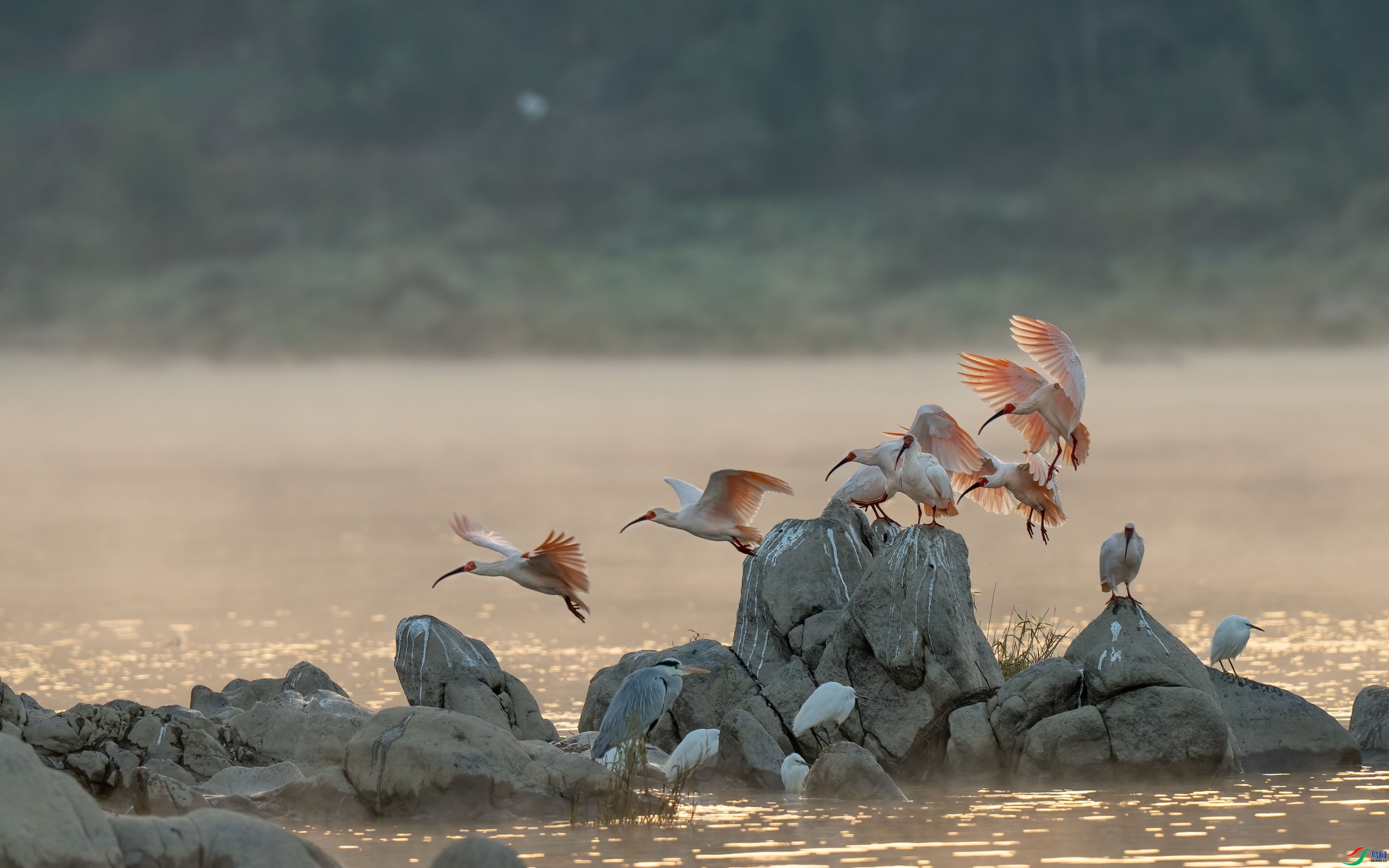 �������q ���� ���� ��һ.jpg