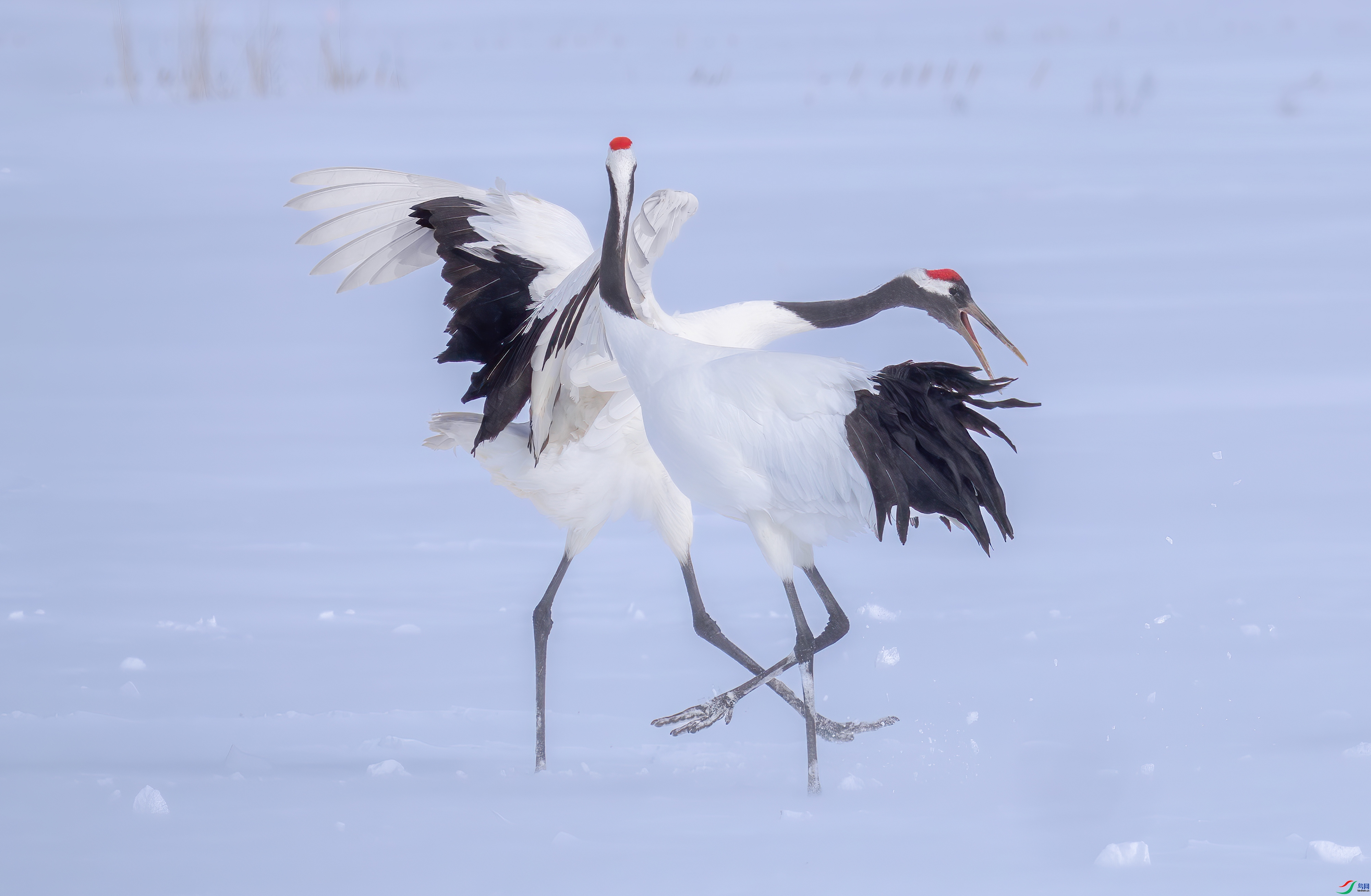 ������ ���� 춼ͷ� �ܶ�.jpg