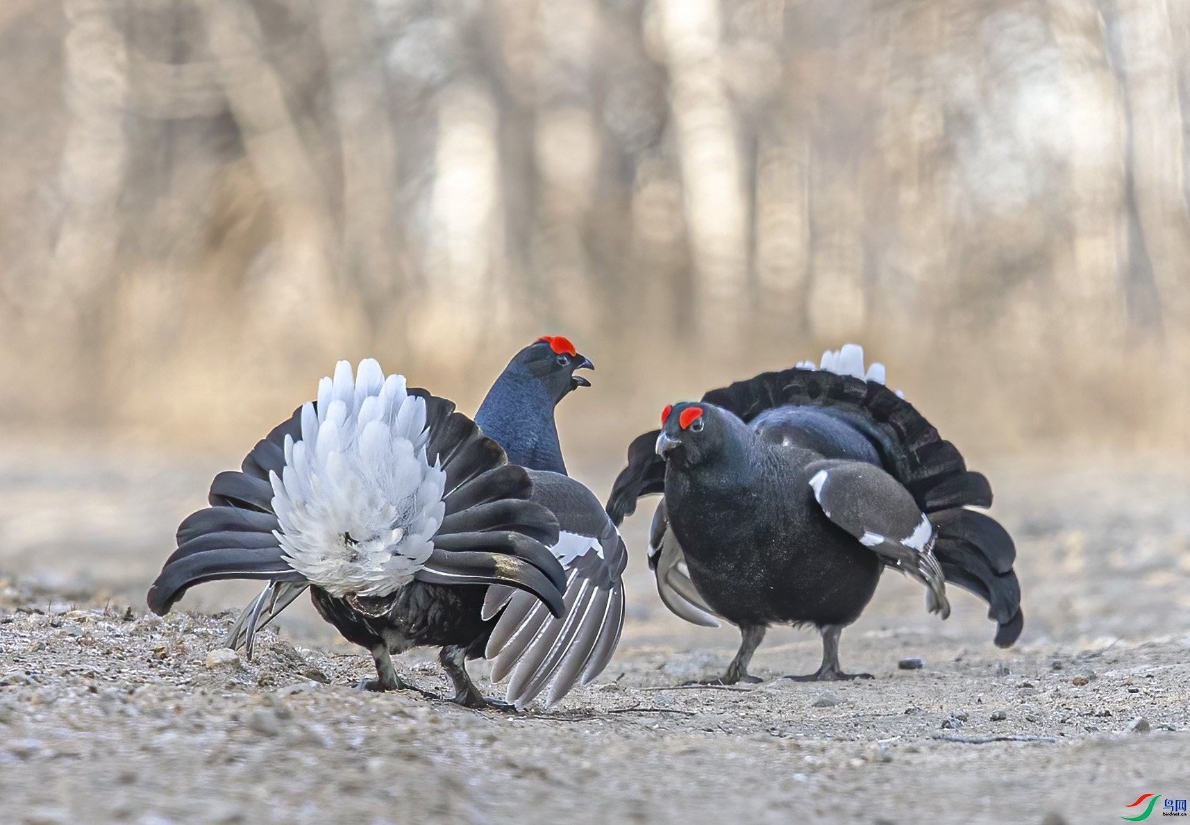 ԾԾ���� ���� 0529  �ܶ�.jpg