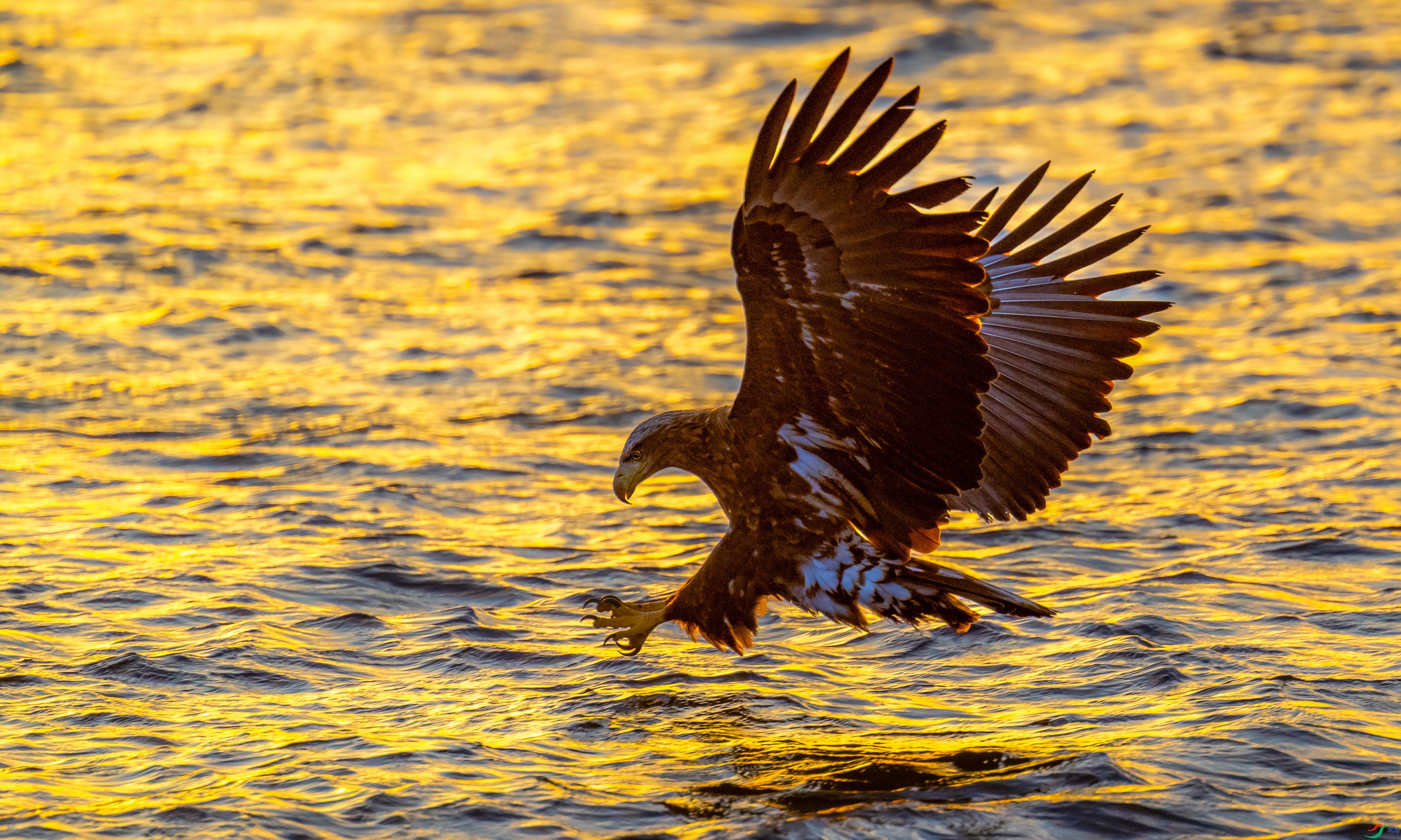 ־�ڱص�  ���� ��������bj  �ܶ�.jpg