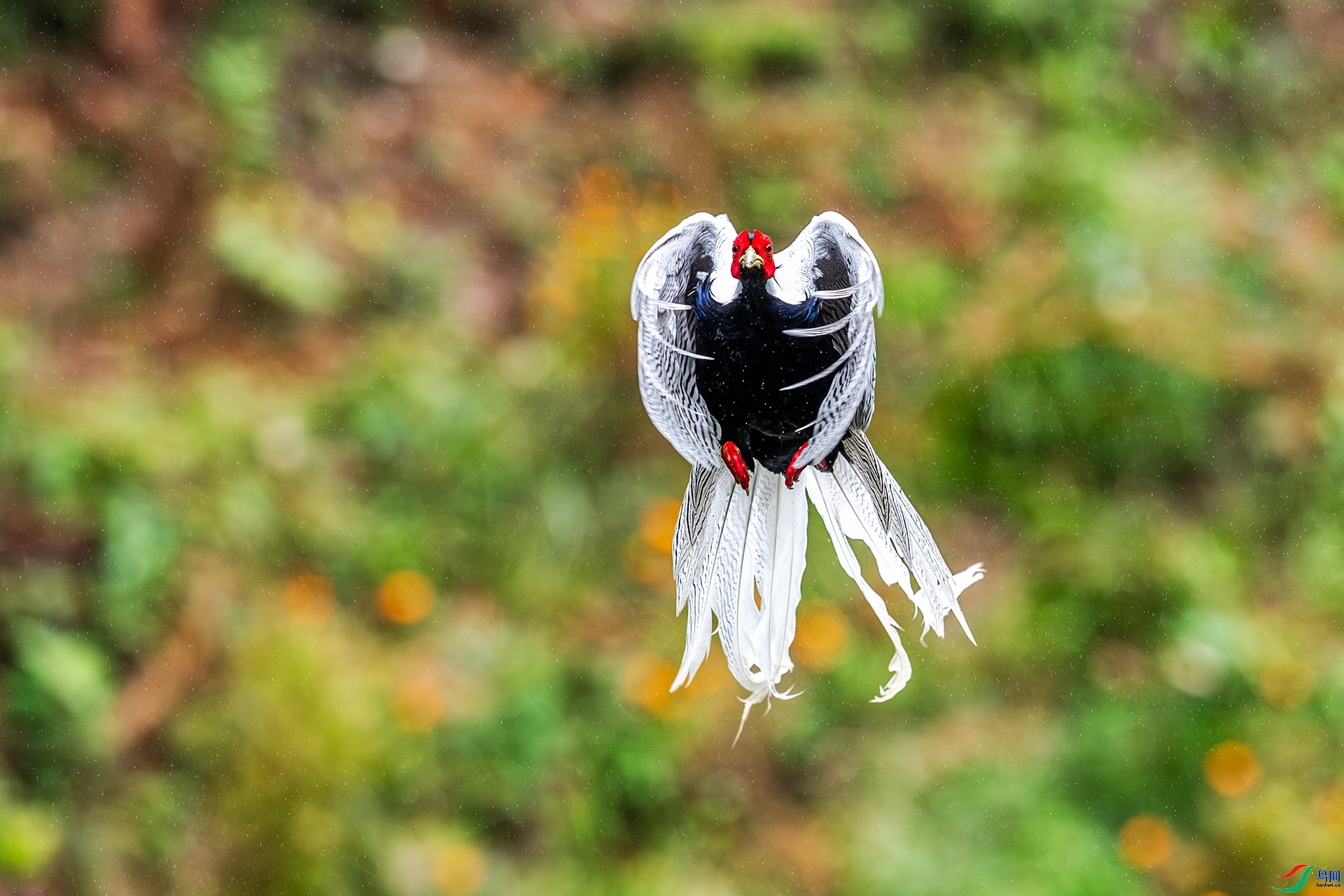 ����ֱ�� ���� ����ǿ ����.jpg