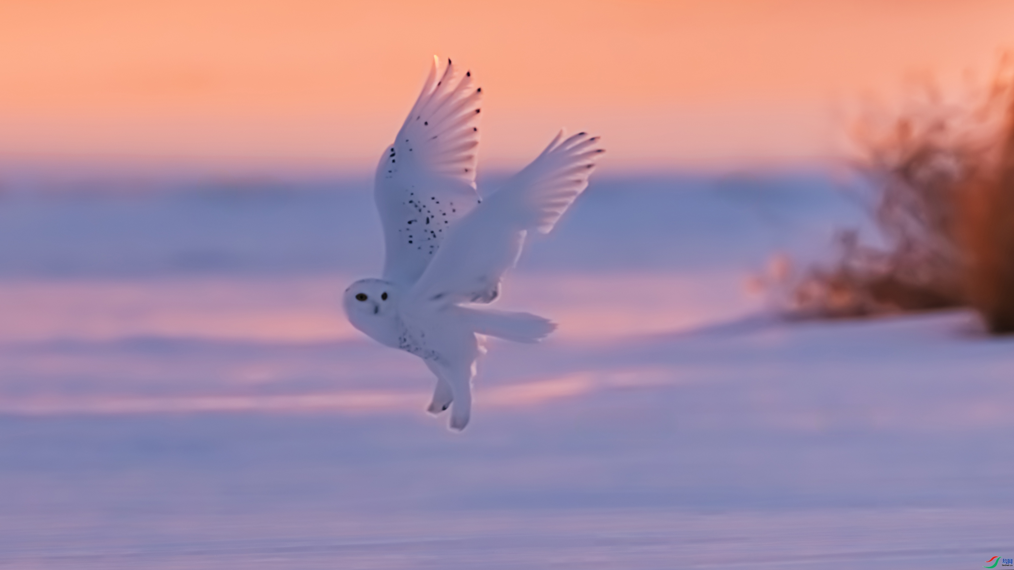 ĺ�� ���� ������ͷ ����.jpg