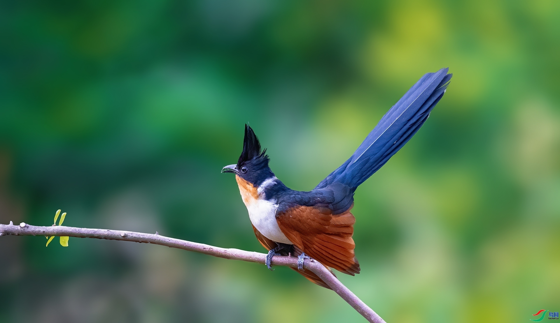 ��β  ���� �������� ����.jpg