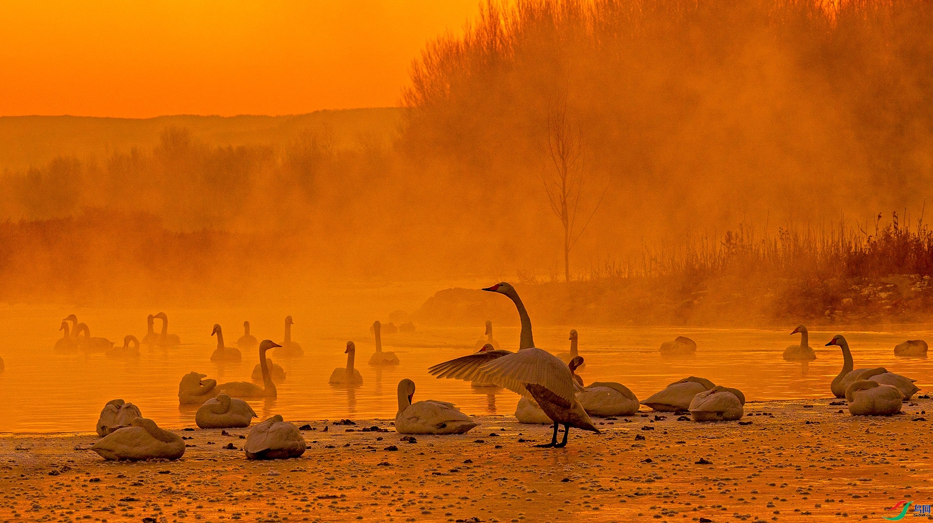 ������͵������ ����  ����.jpg