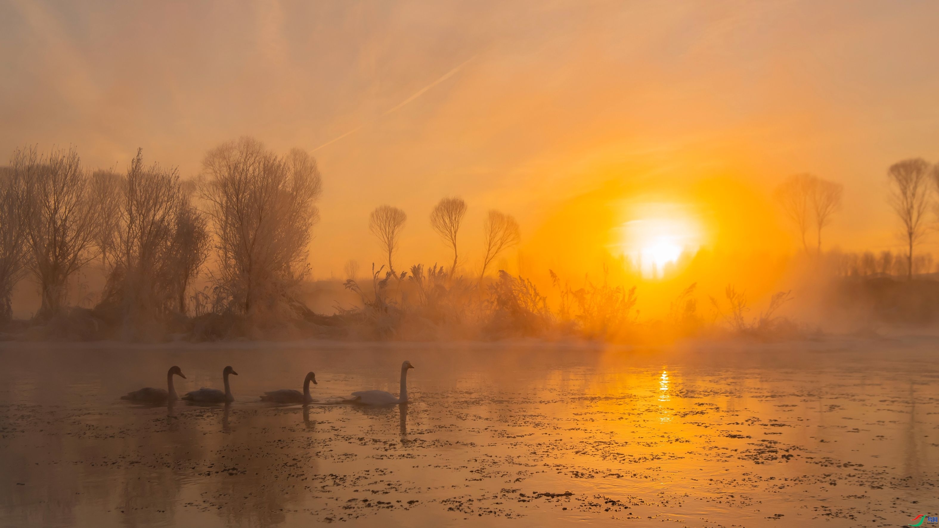 �ڱ�ˮ��ǰ��  ���� �����ү ����.jpg