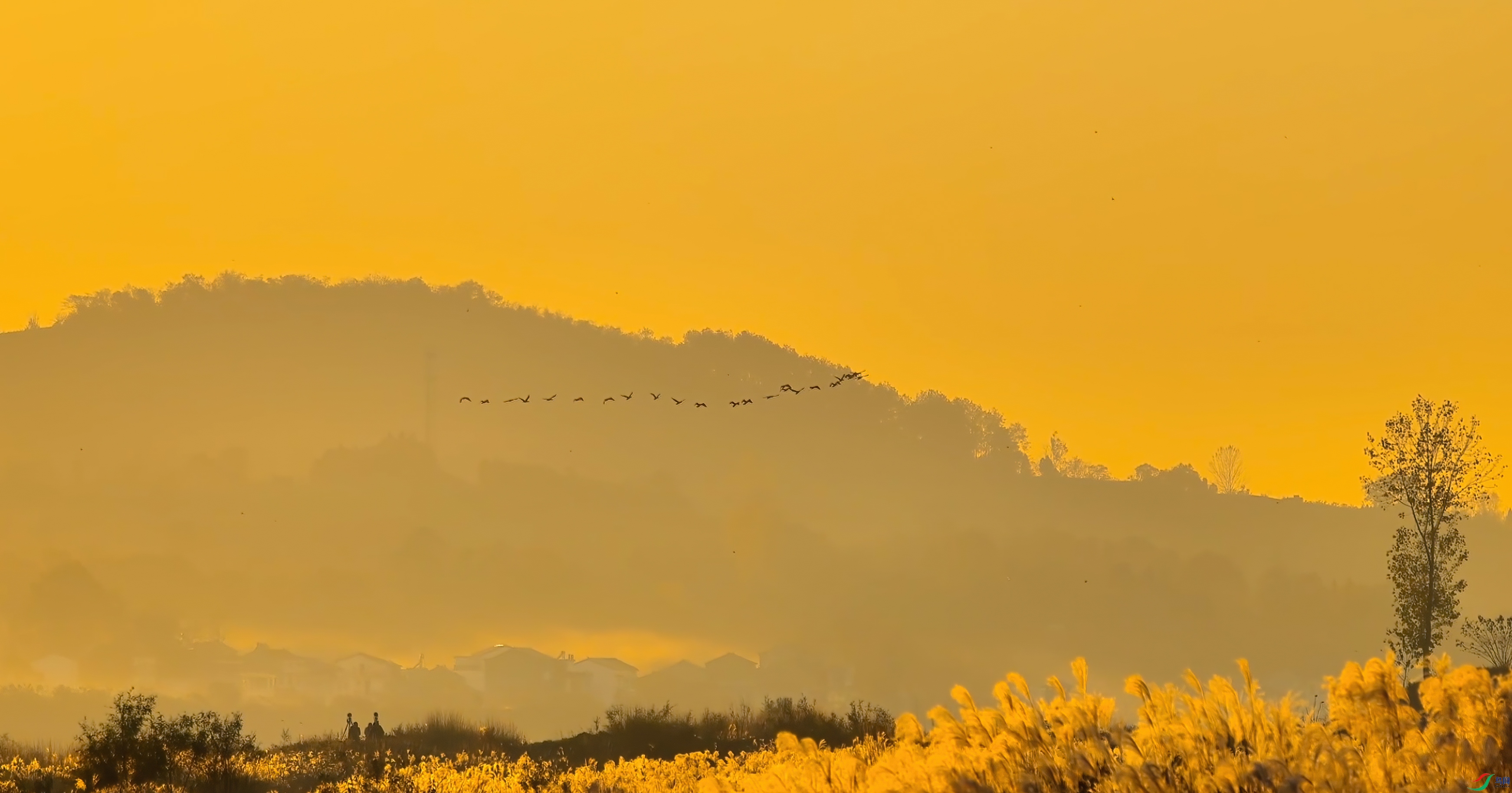 _20241216084743 ����.jpg