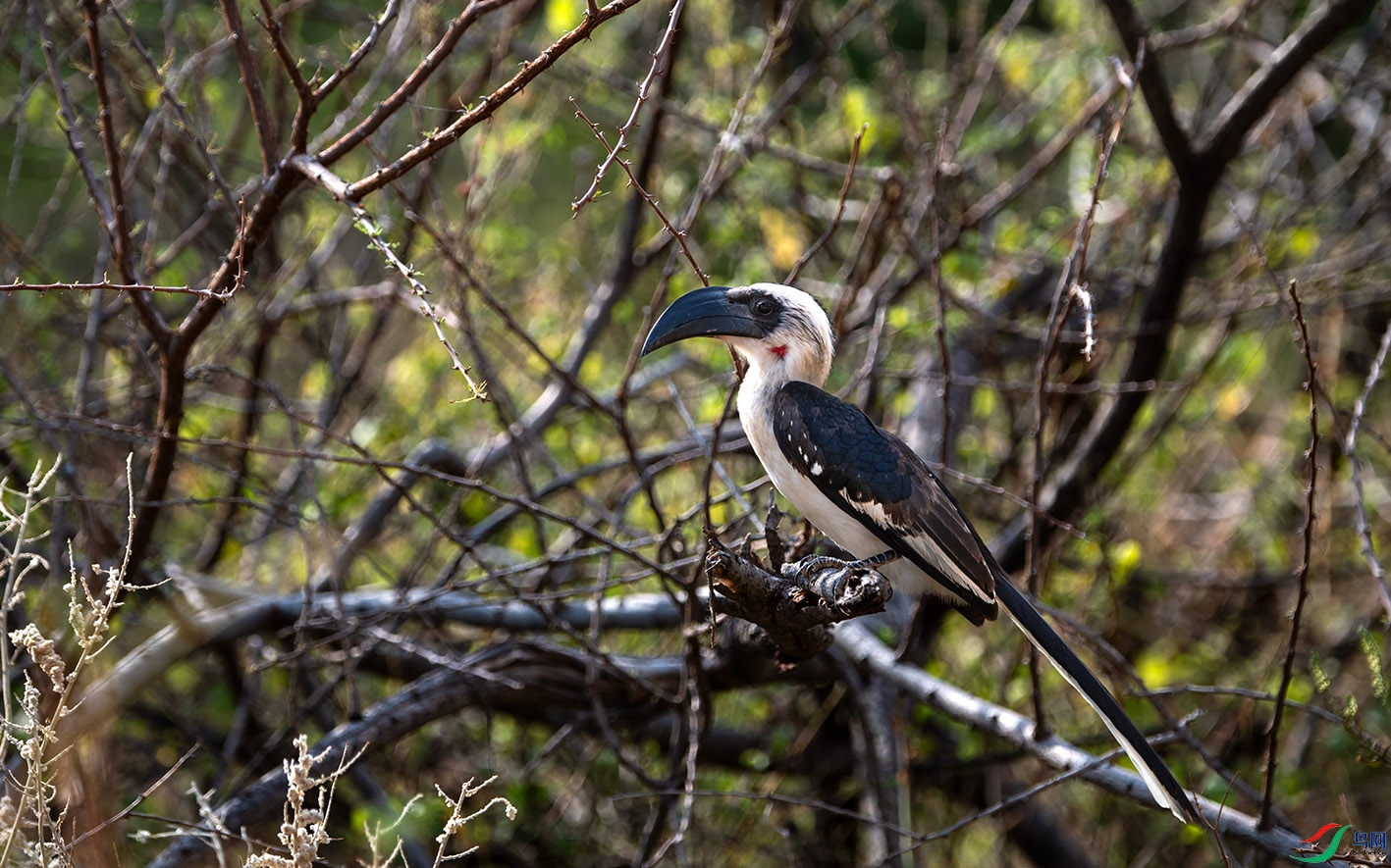 _DSC5714.jpg