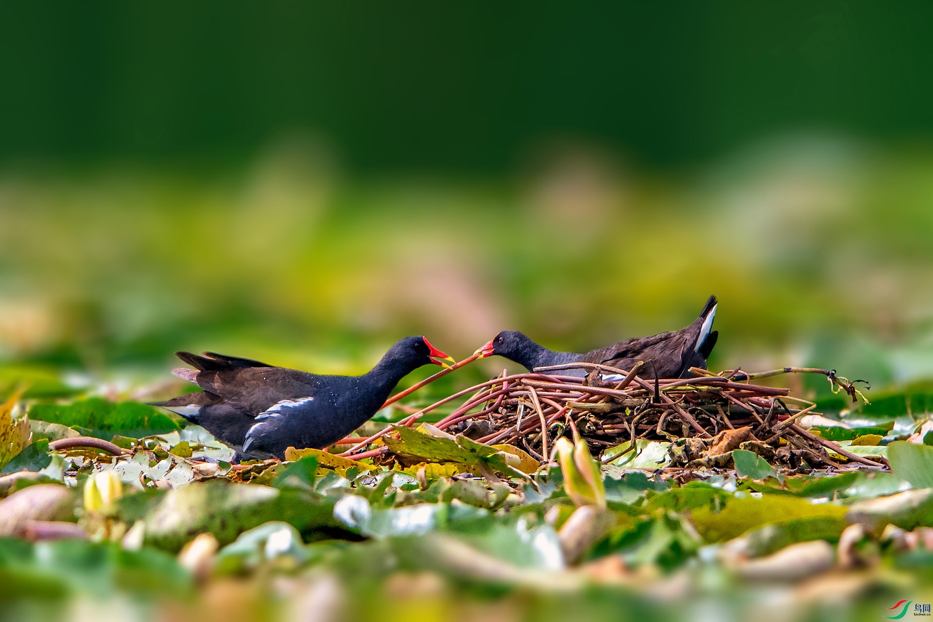 _AUU6311��(24.6.28).jpg