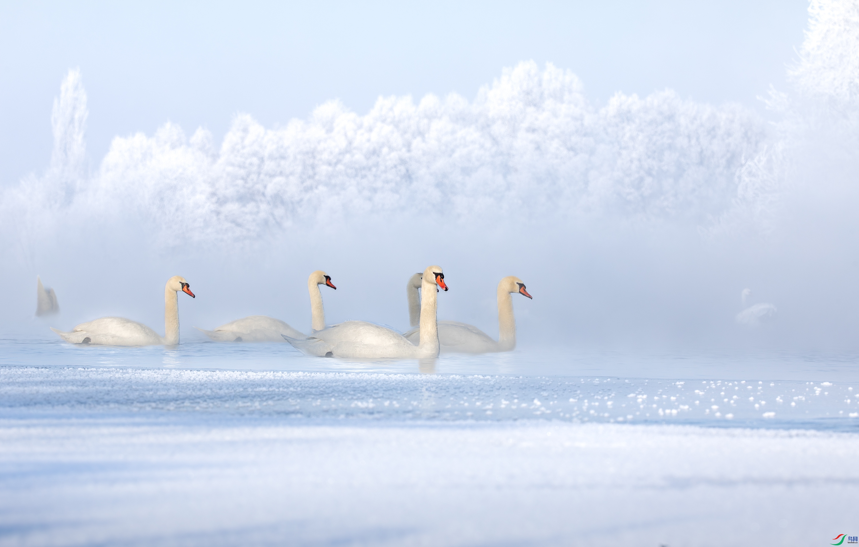 3S5A4522- ����.jpg