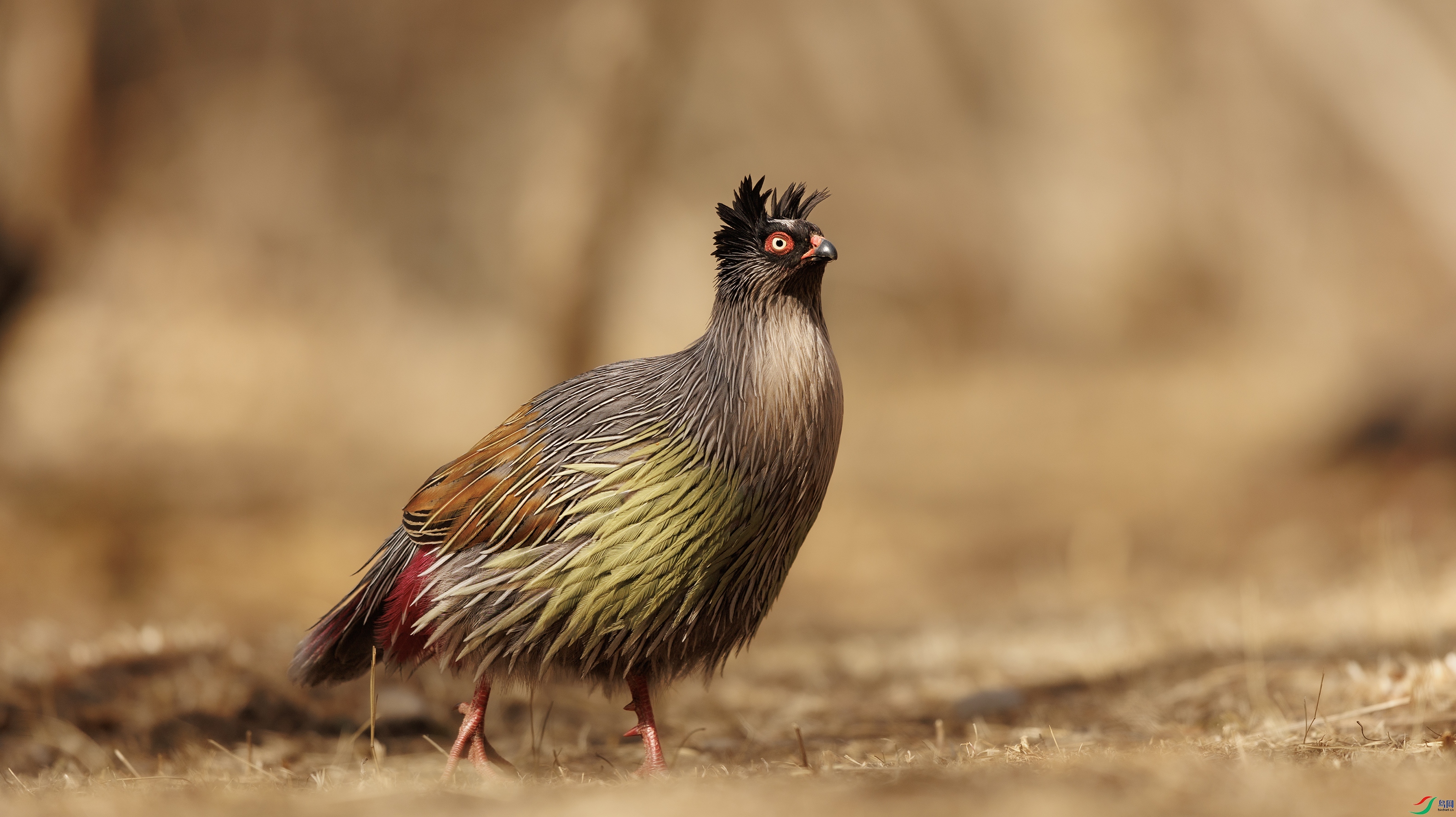 7X5A2400 ����4444.jpg