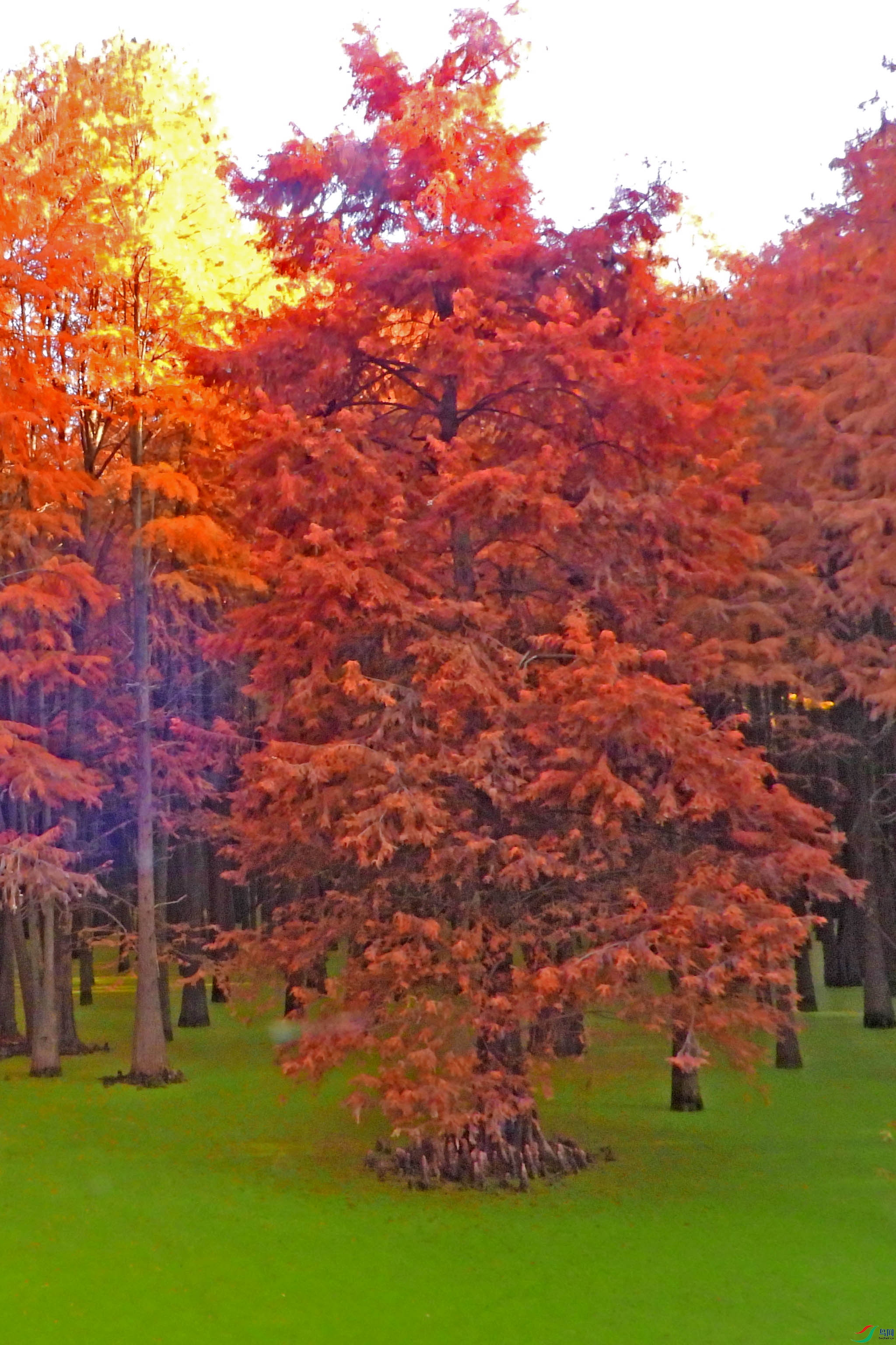 DSCN5092.JPG