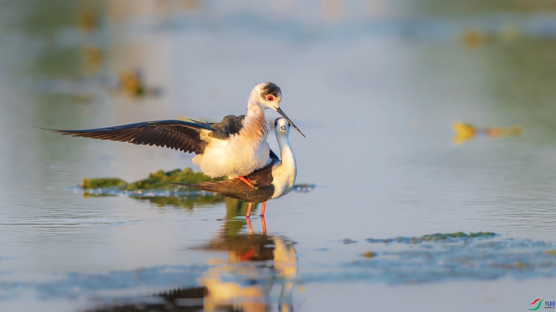 1_XXI5371-����ǿ-NR ����.jpeg