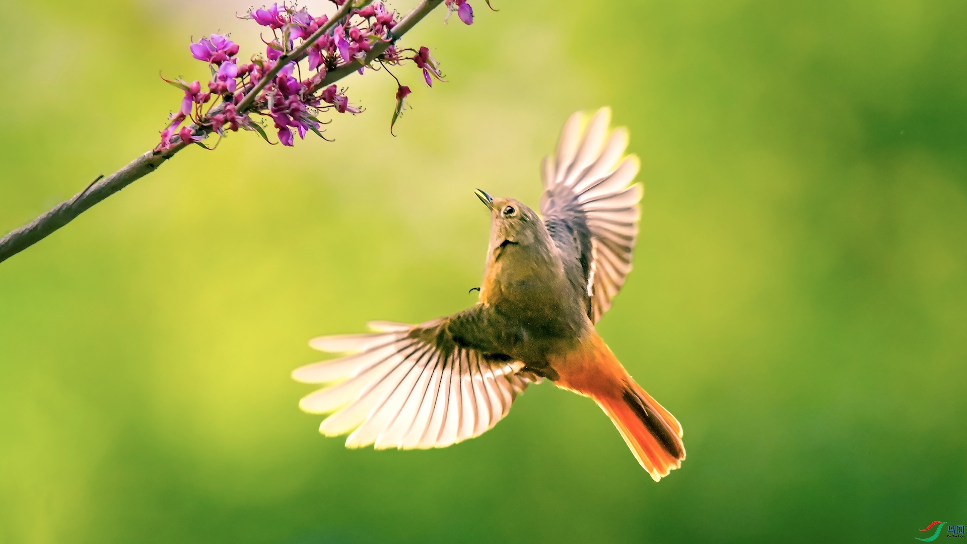 1_XXL1860 ����.jpeg