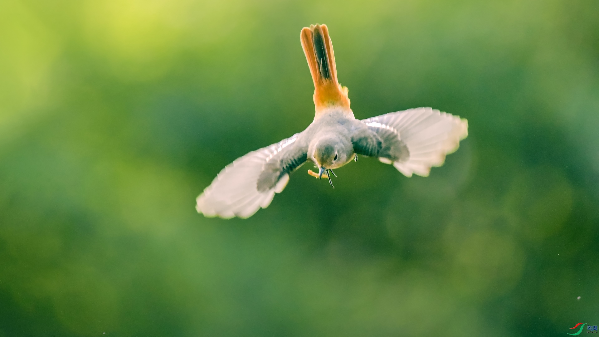 1_XXL1862 ����.jpeg