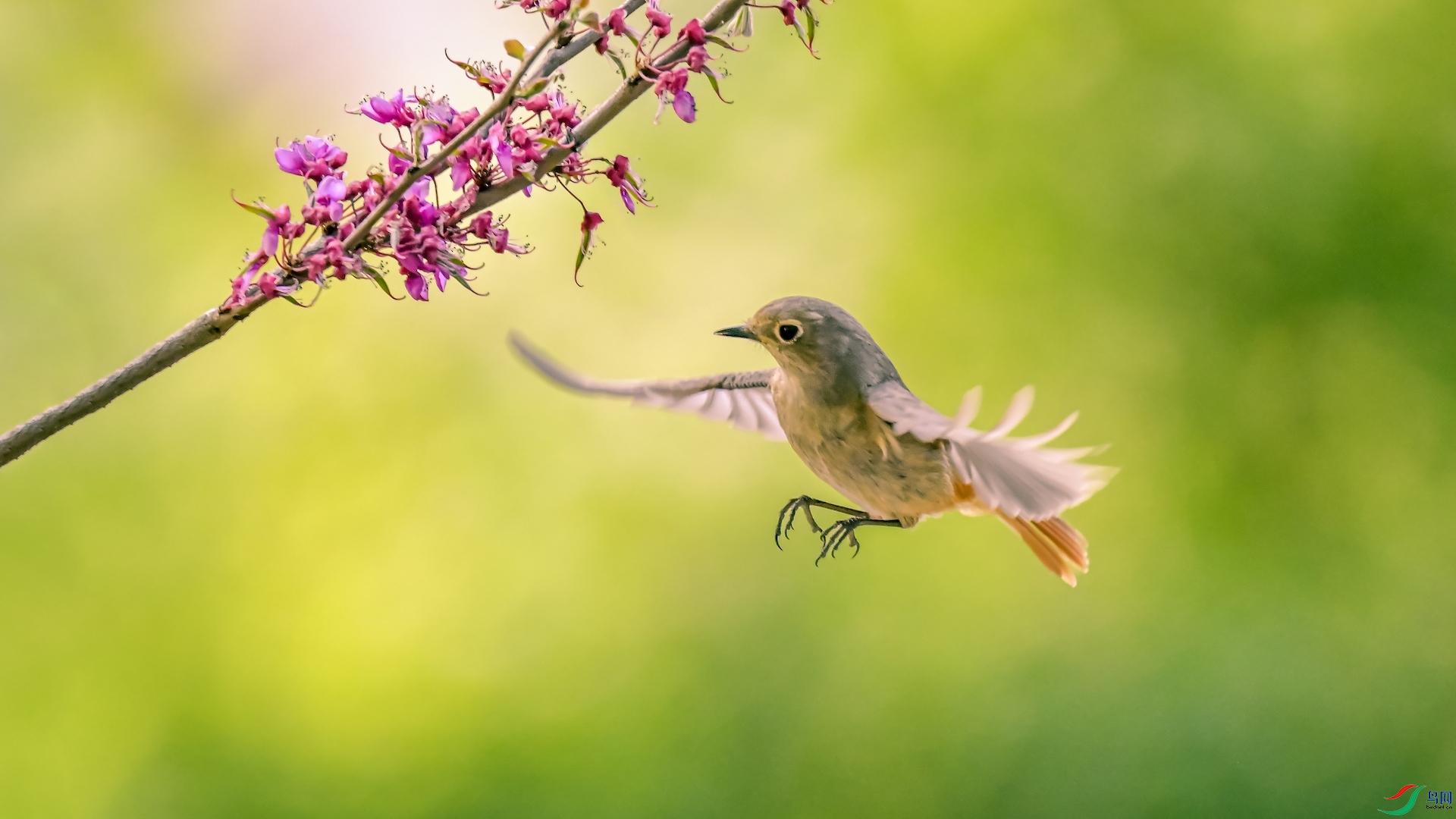 1_XXL1872 ����.jpeg