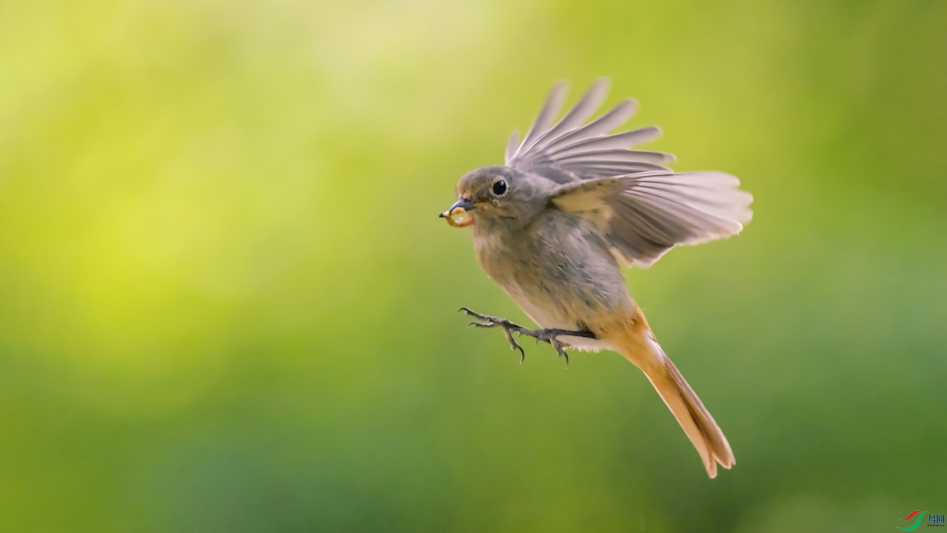 1_XXL1875 ����.jpeg