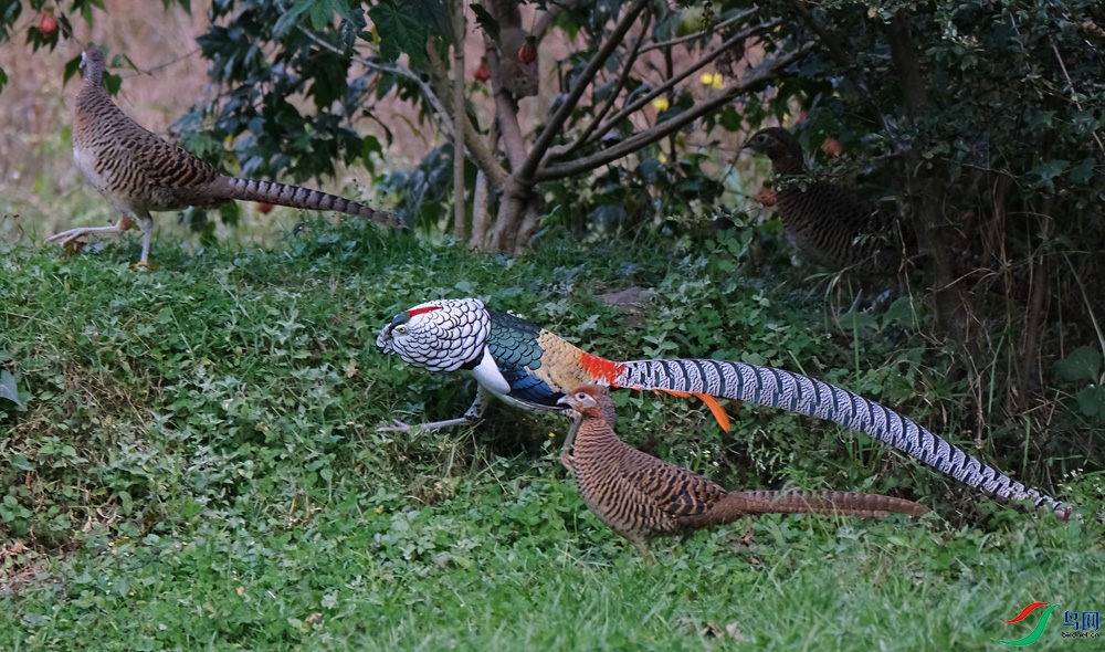 DSCF6856.1.jpg