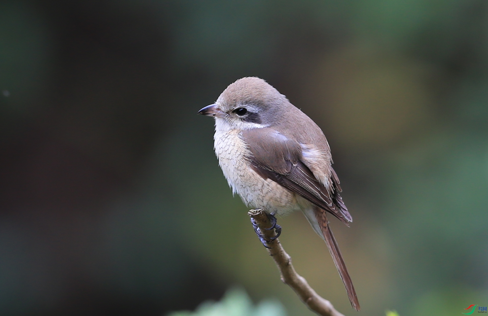 ���� IMGL8035.JPG