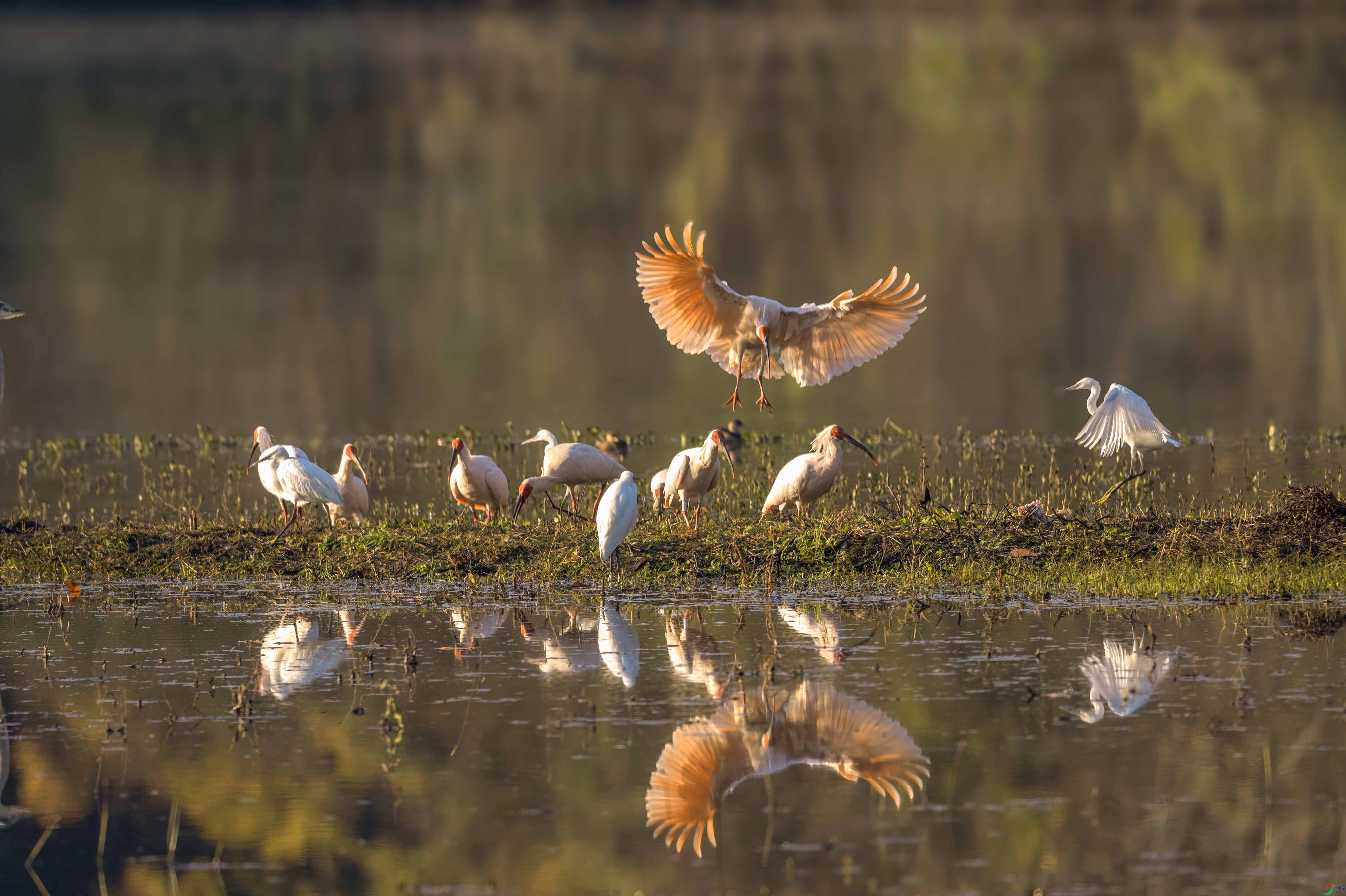 DSC_0293 ����.jpg