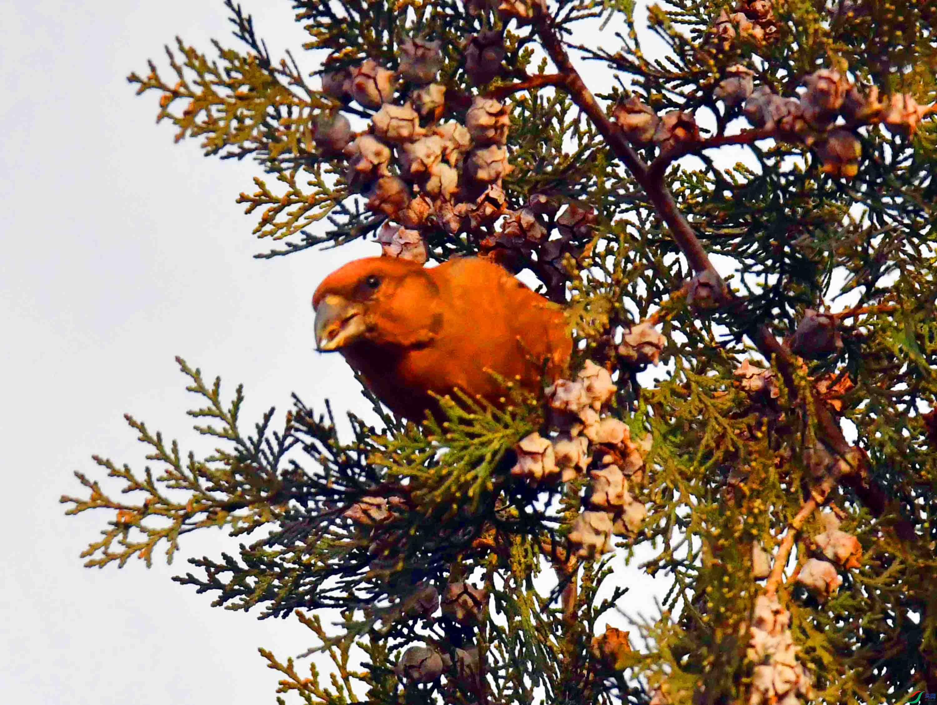 DSC_5286.JPG