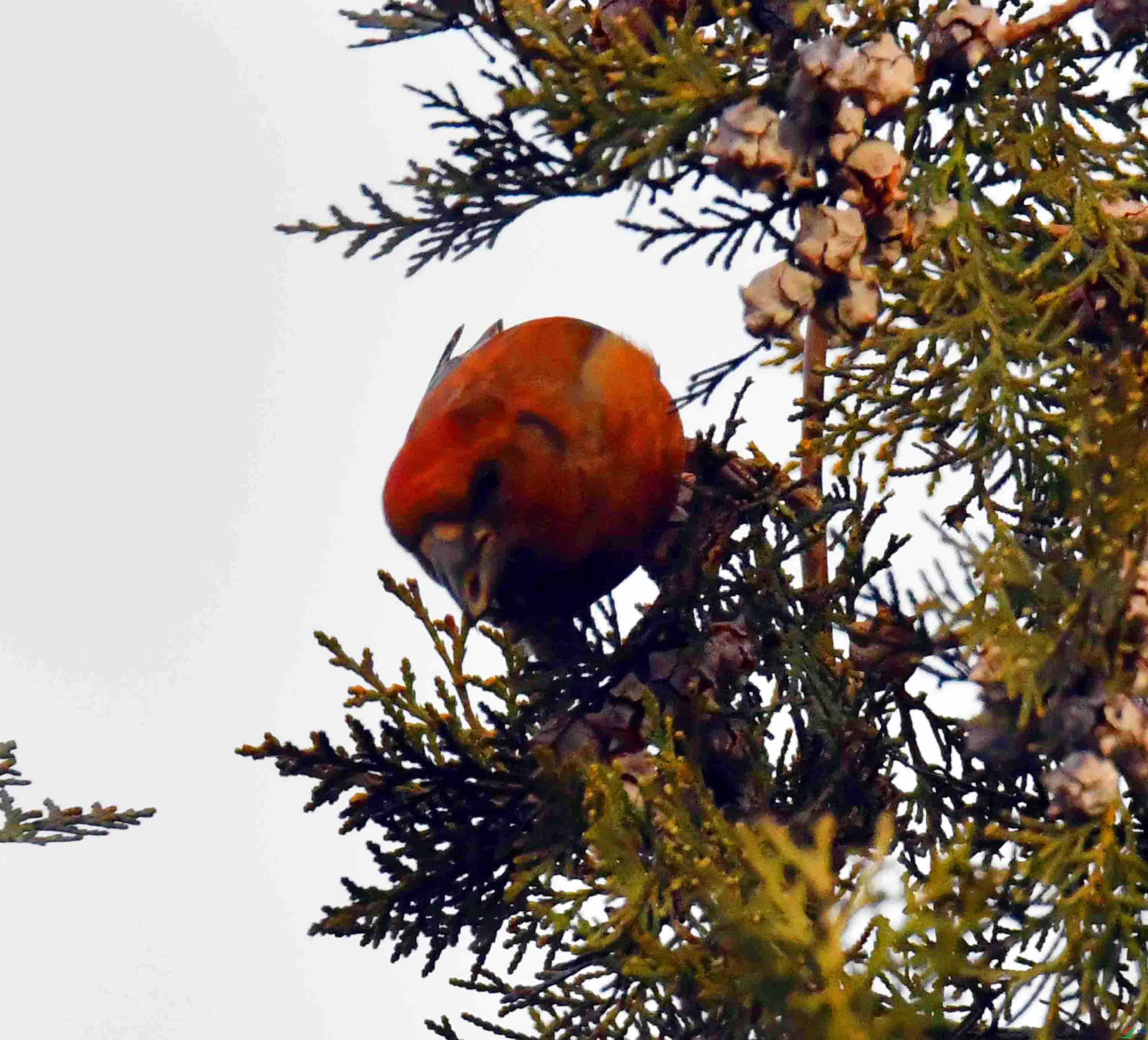 DSC_5264.JPG