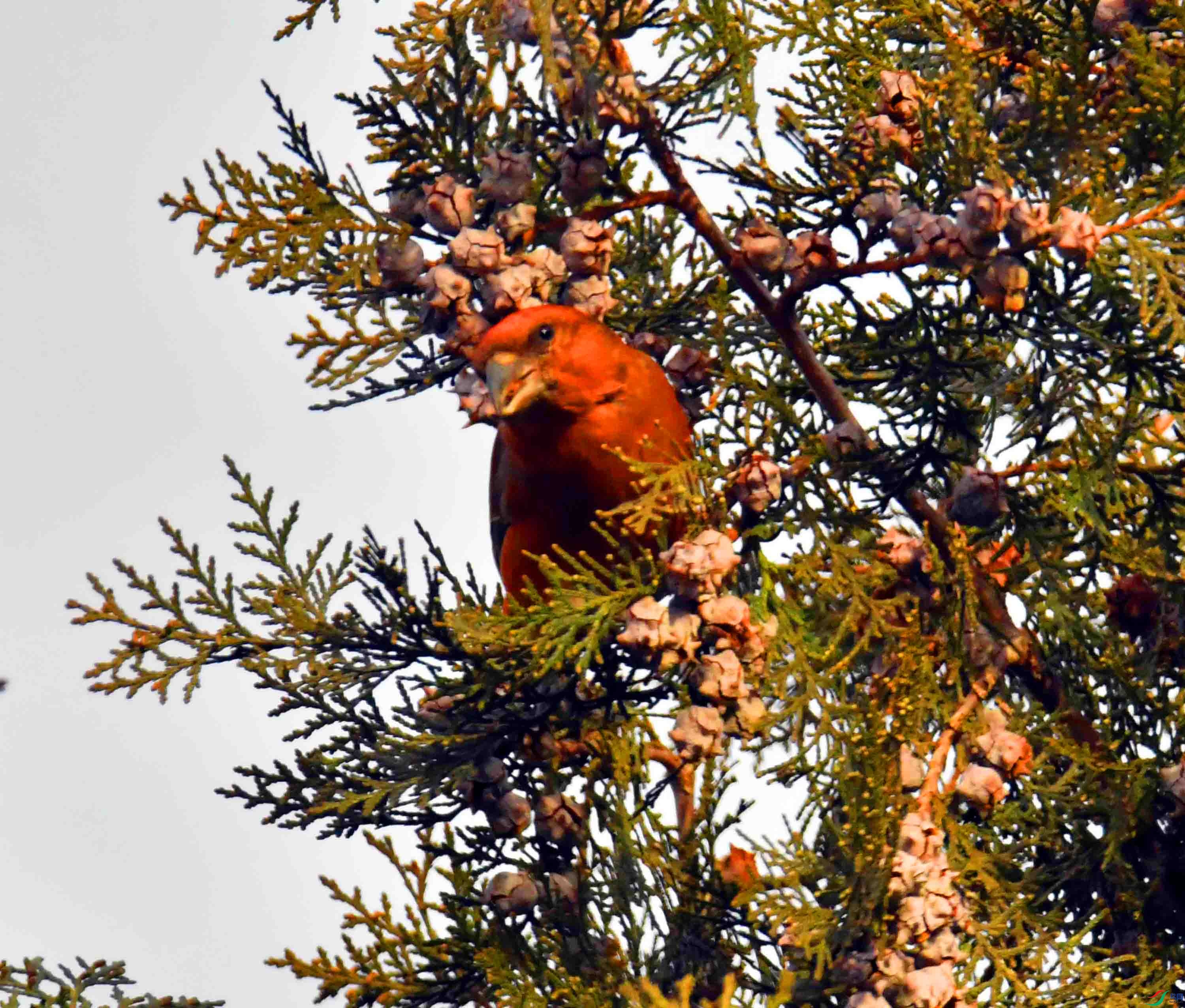 DSC_5313.JPG