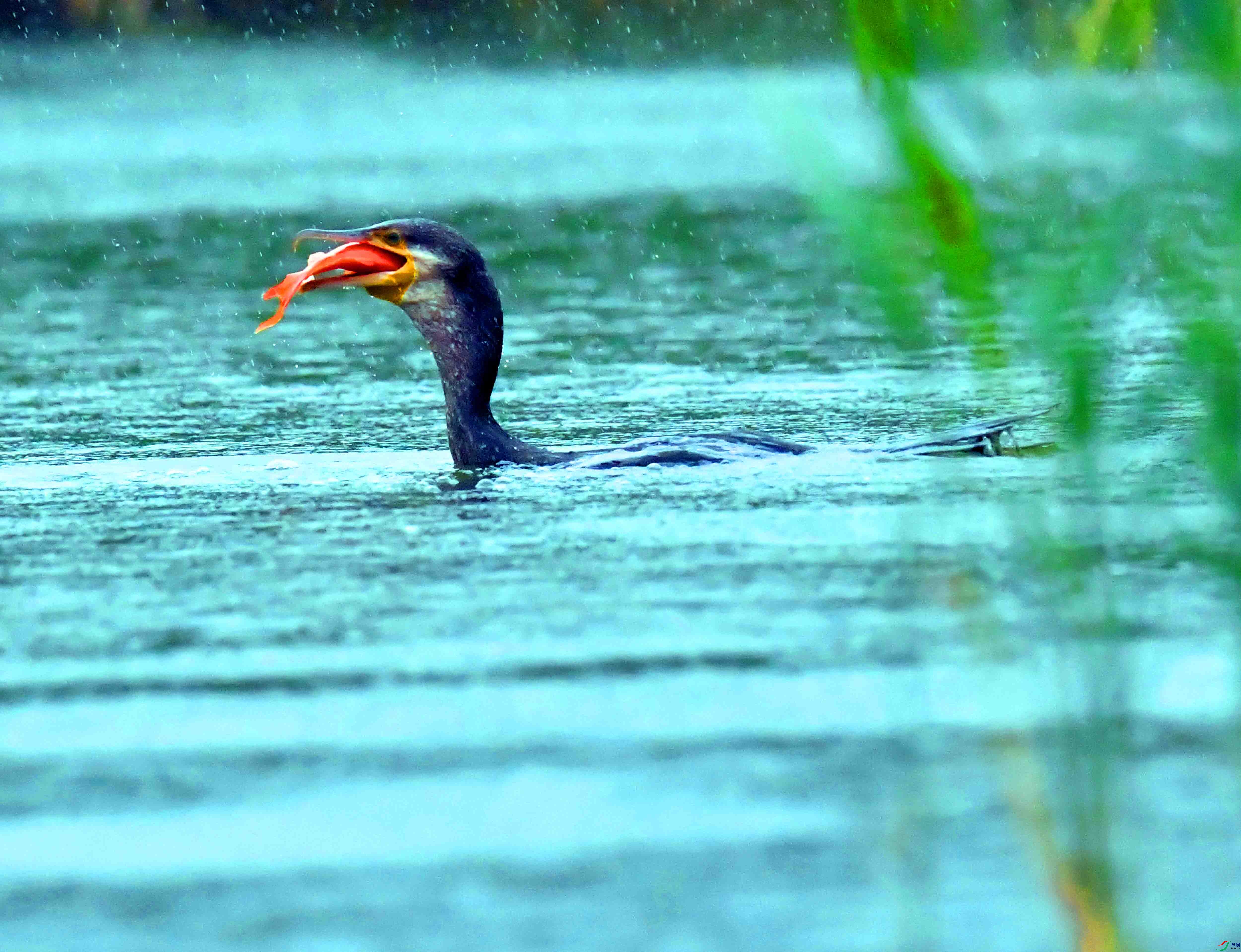 DSC_6258.JPG