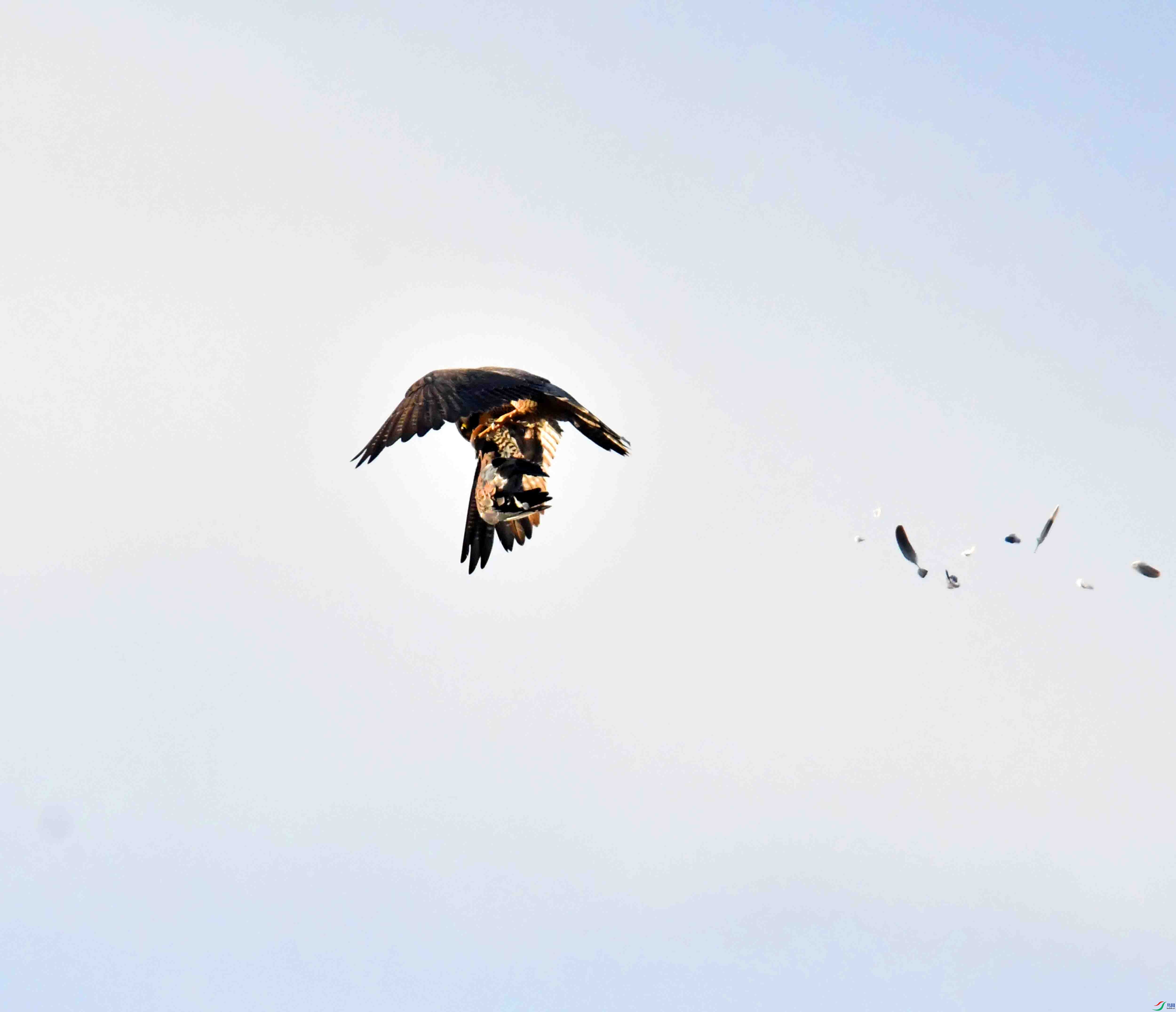 DSC_6374.JPG