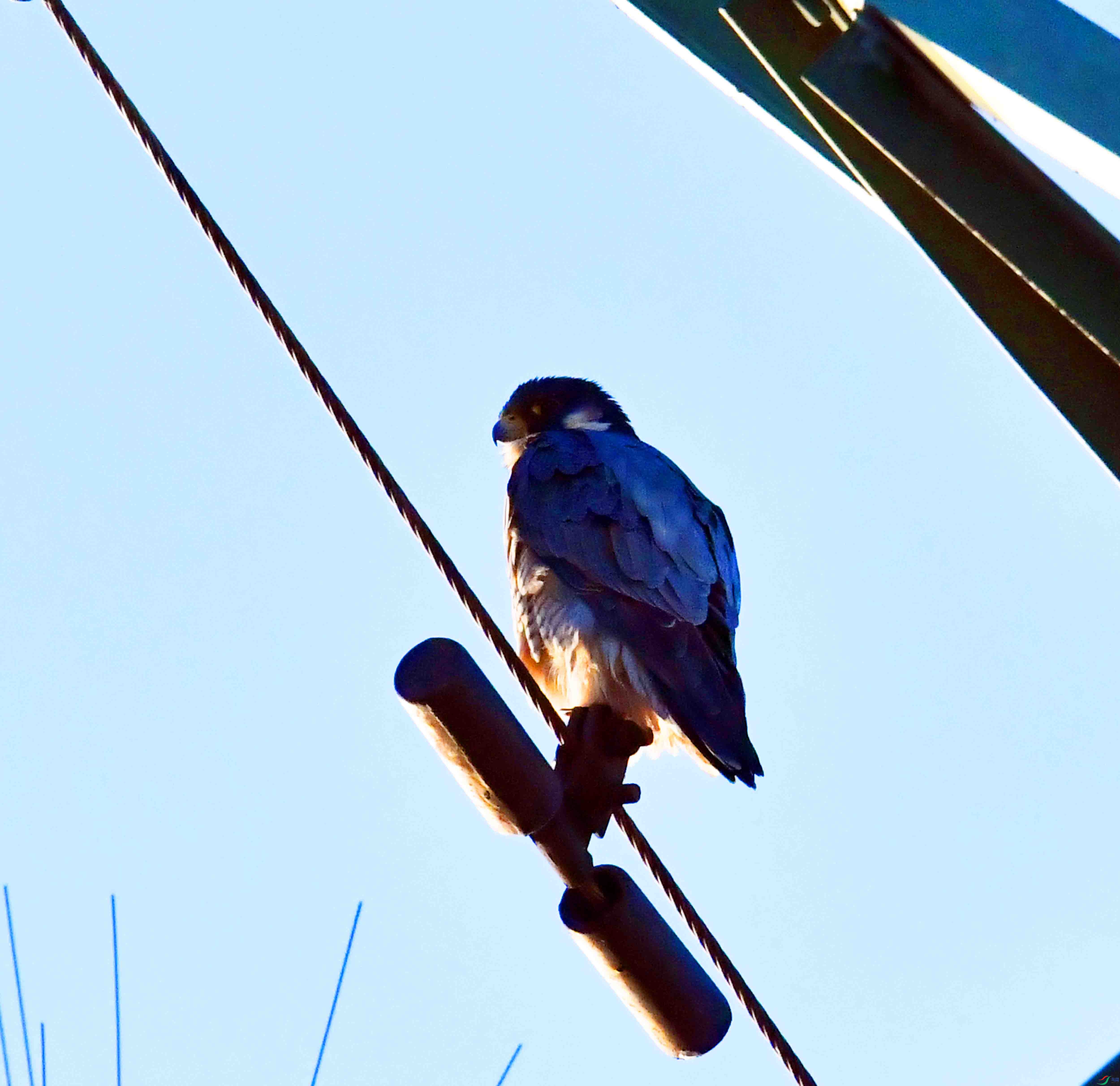 DSC_8041.JPG