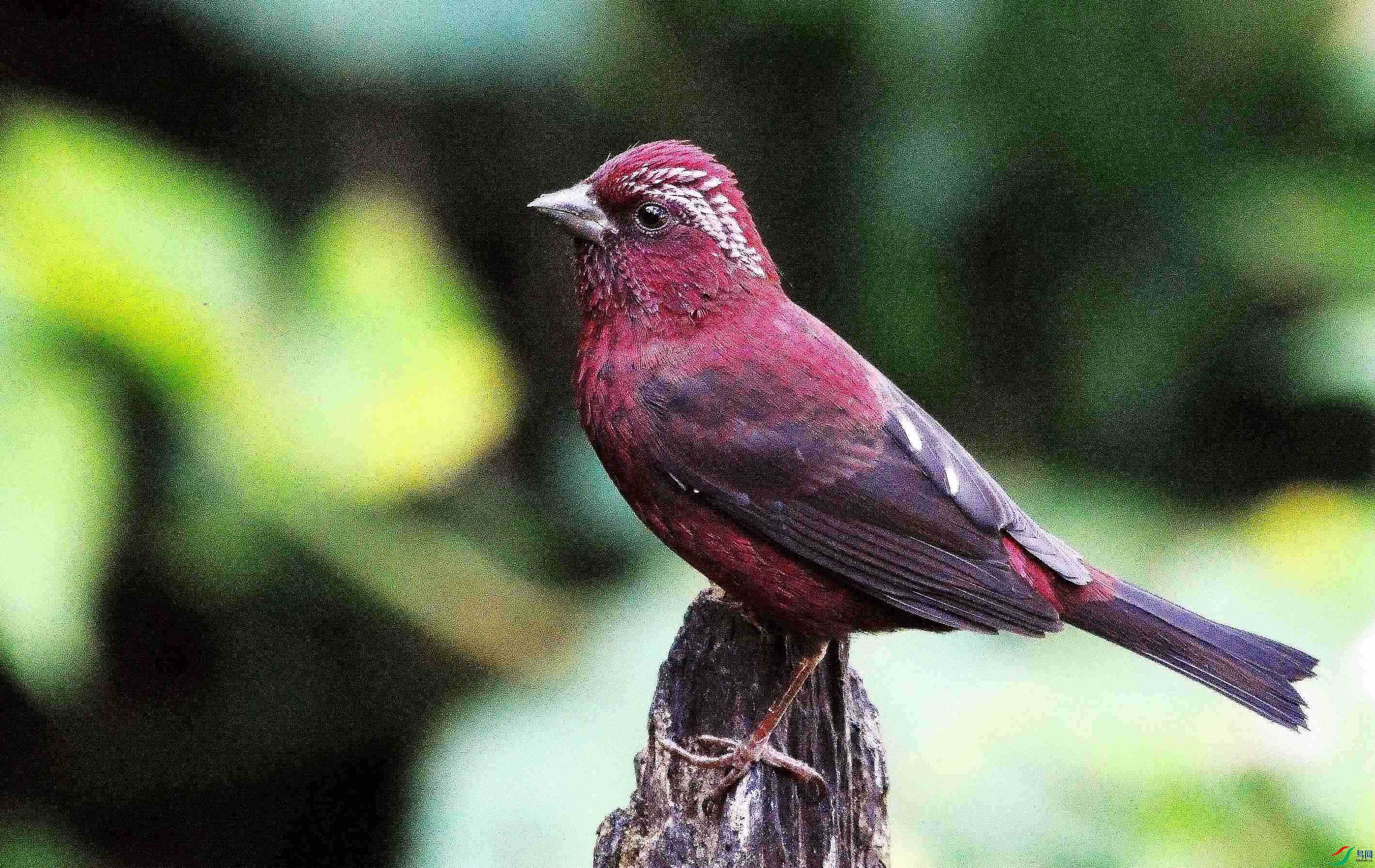 DSC_1668.JPG