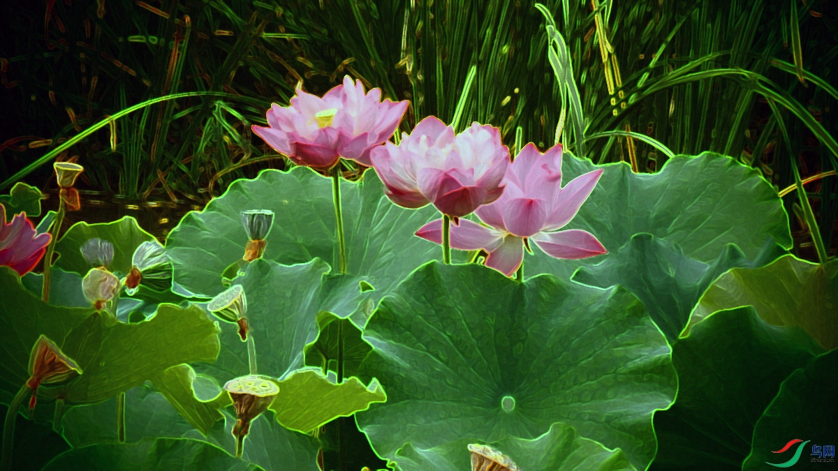 P8143761.jpg