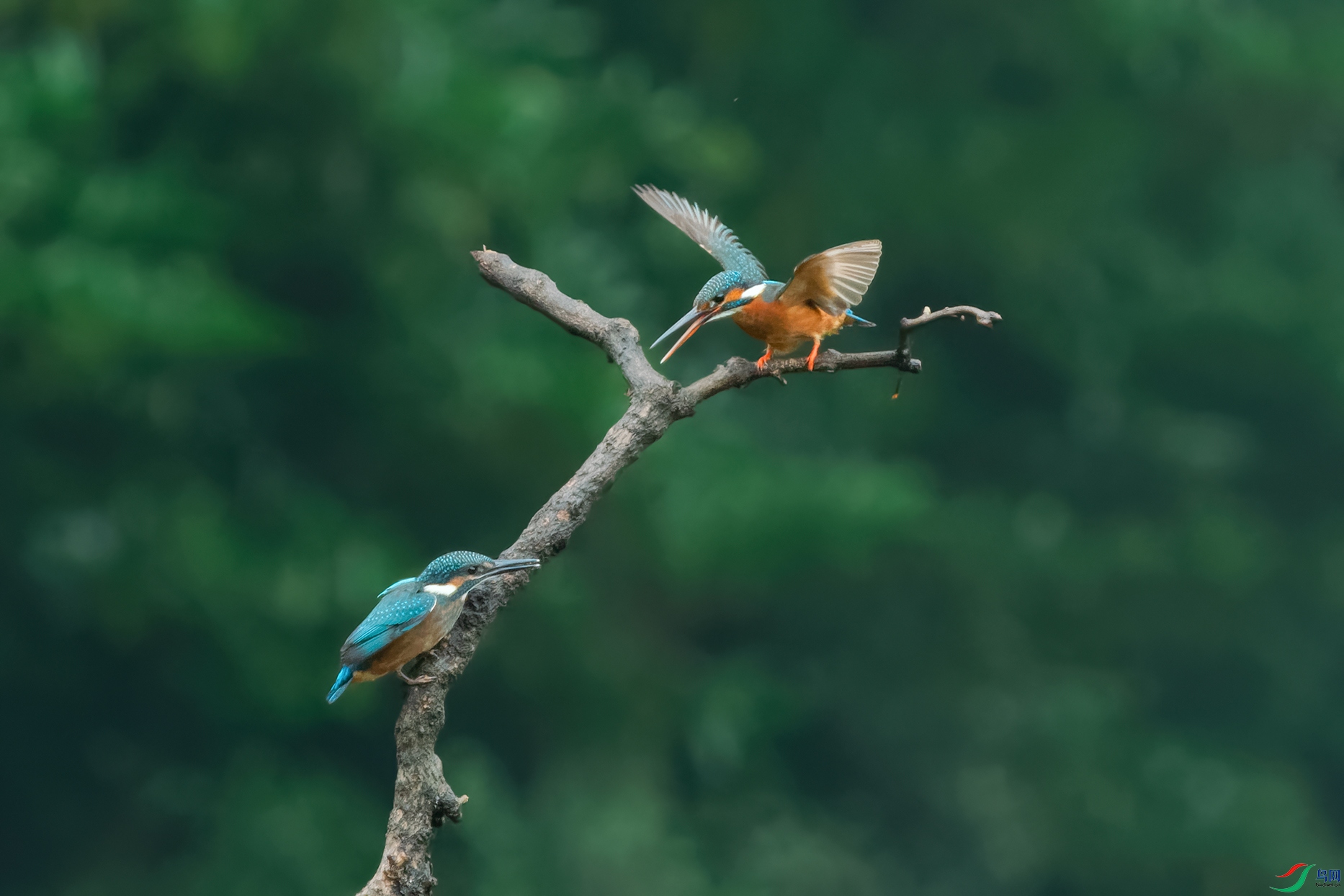 4DSC_0740_DxOa.jpg