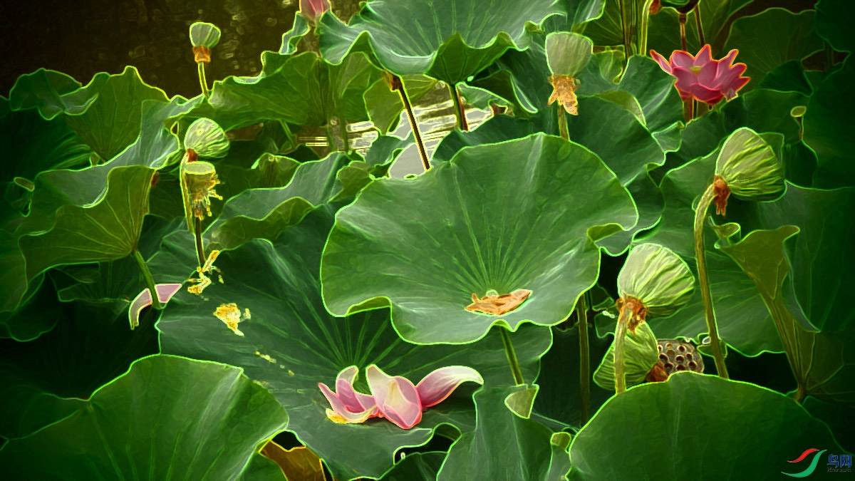P8143750.jpg