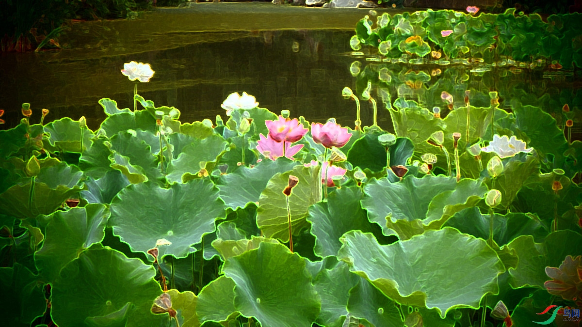 P8143760.jpg