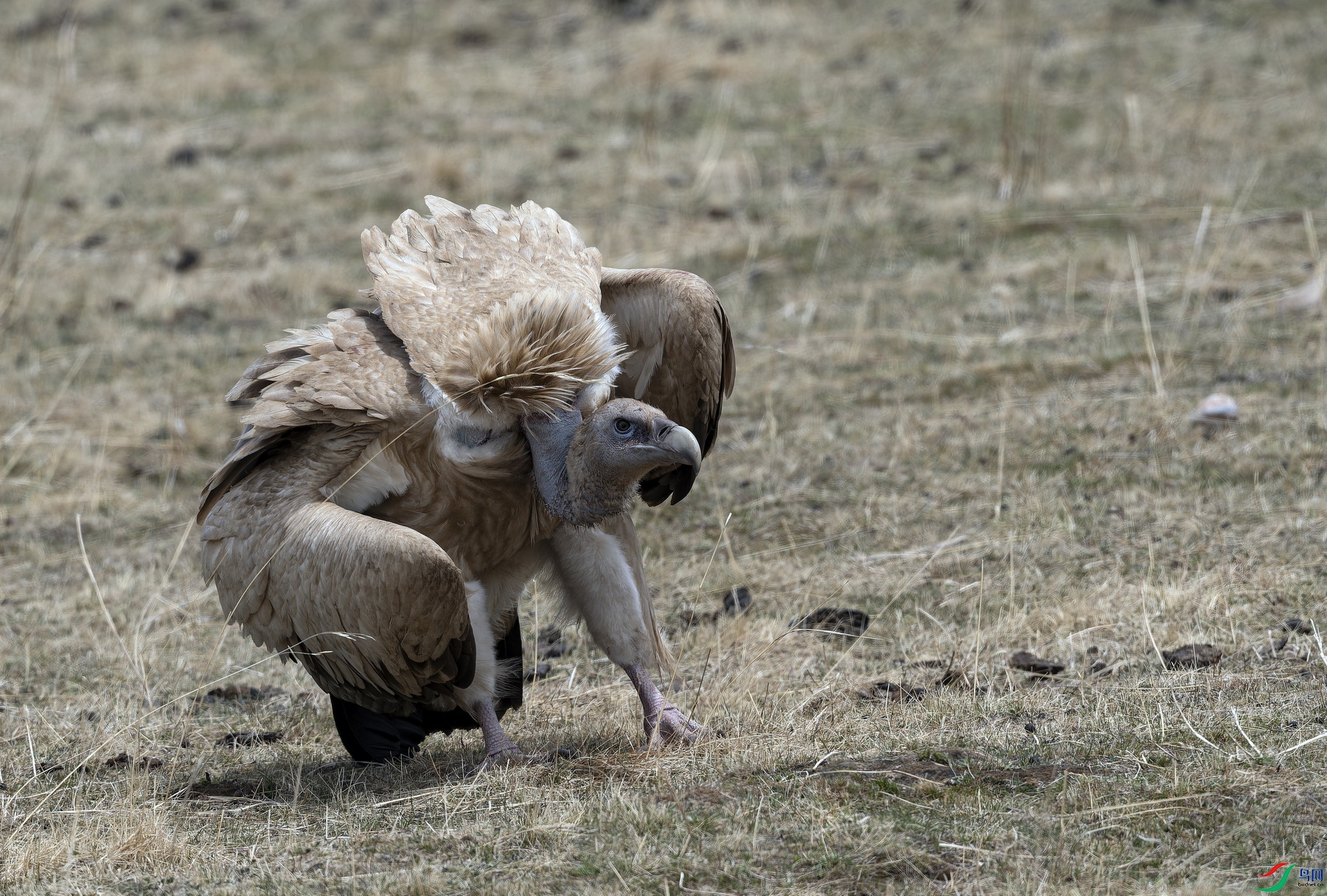 ��ɽأ��3 (27)-1.jpg