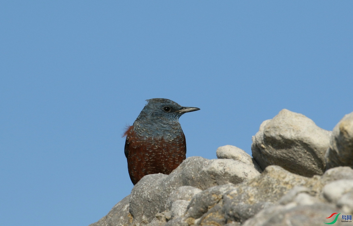 DSC20241217042.jpg