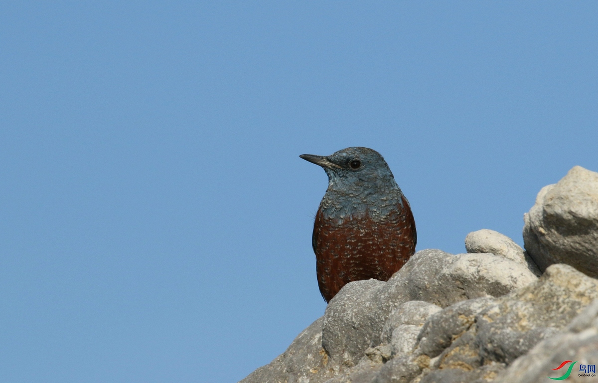 DSC20241217017.jpg