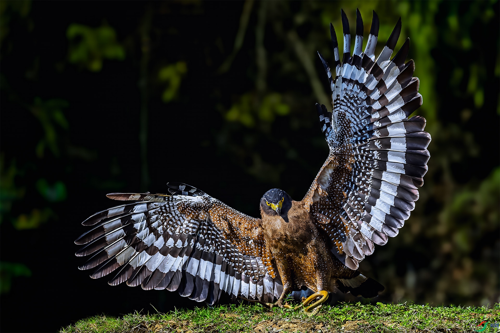 �������