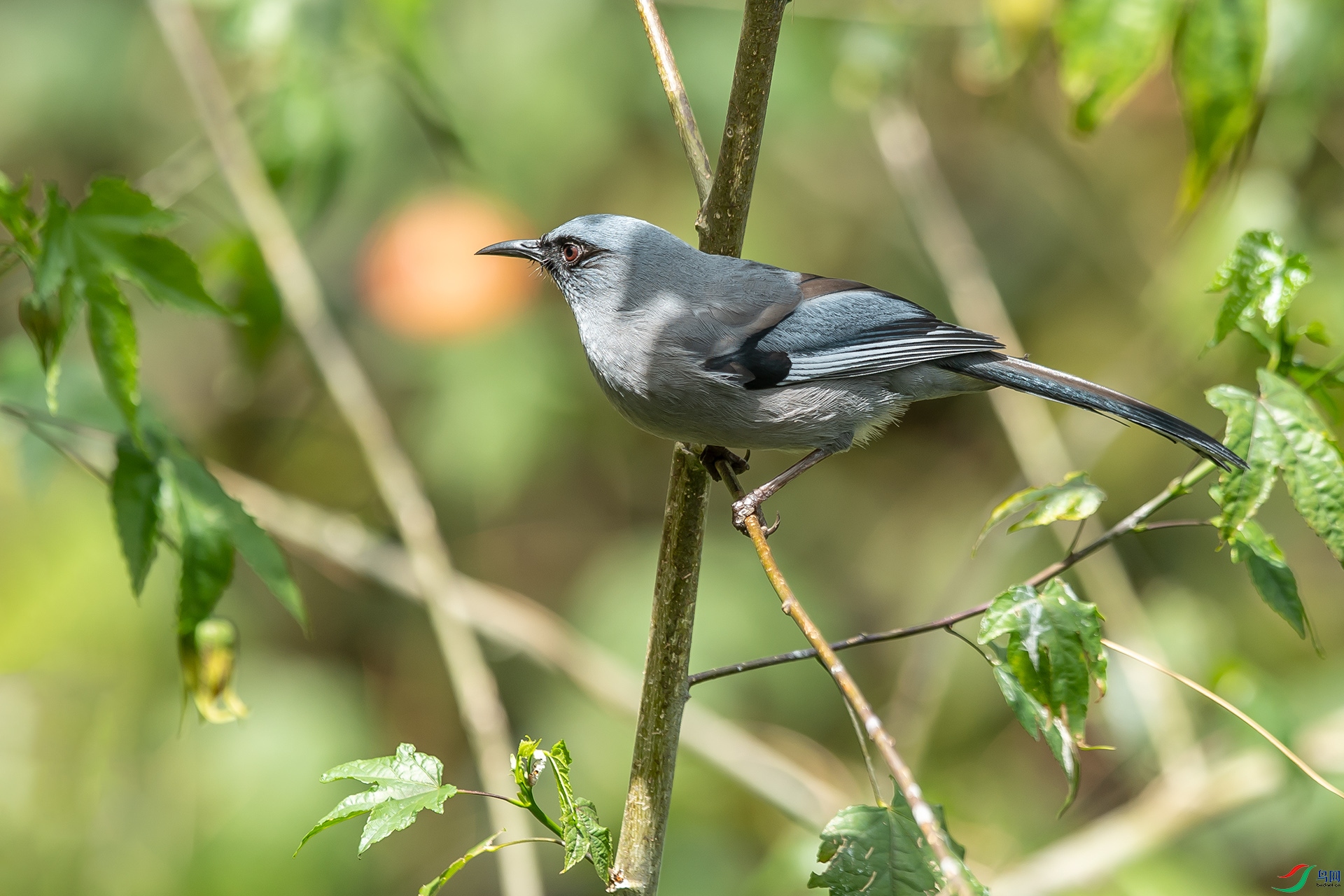 DSC_0714.jpg